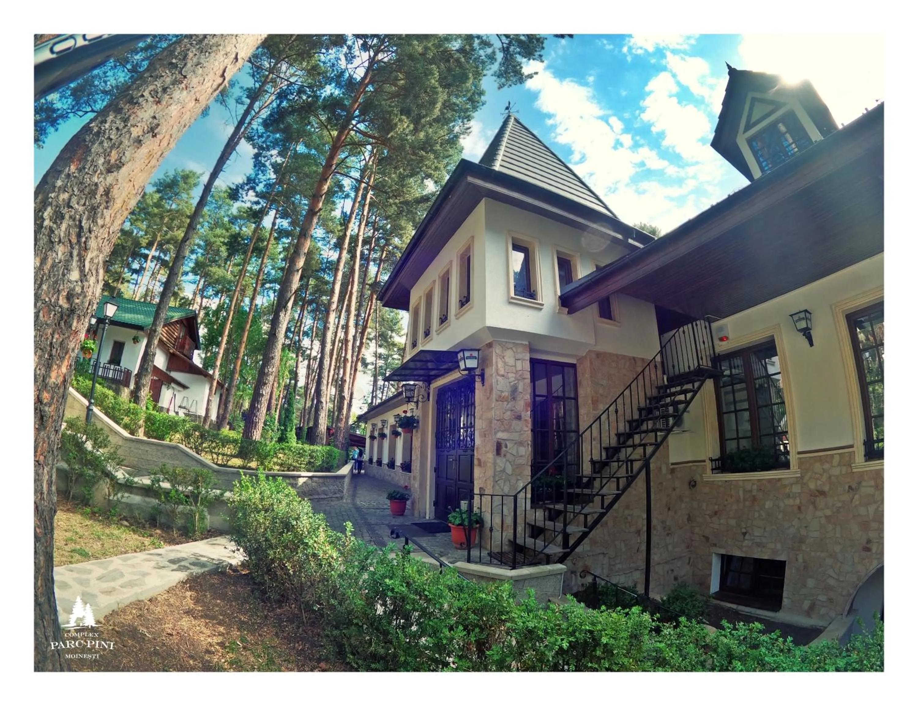 Complex Parc Pini Moinesti