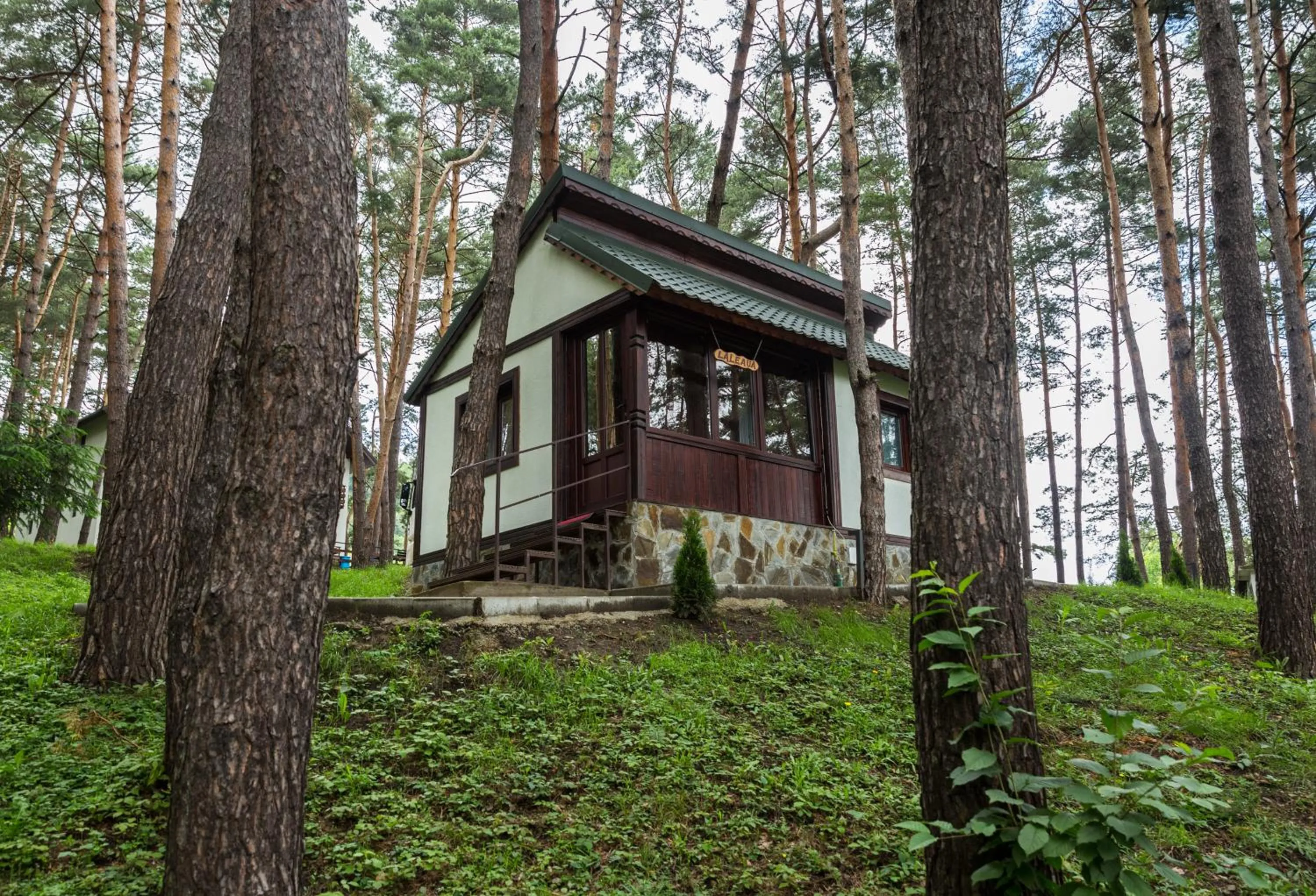 On site in Complex Parc Pini Moinesti