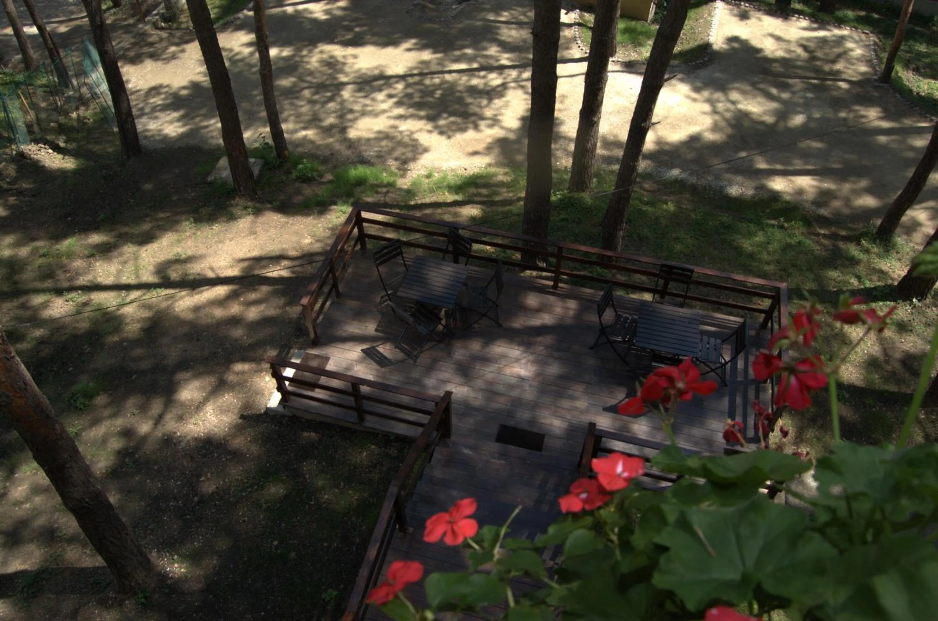 Balcony/Terrace in Complex Parc Pini Moinesti