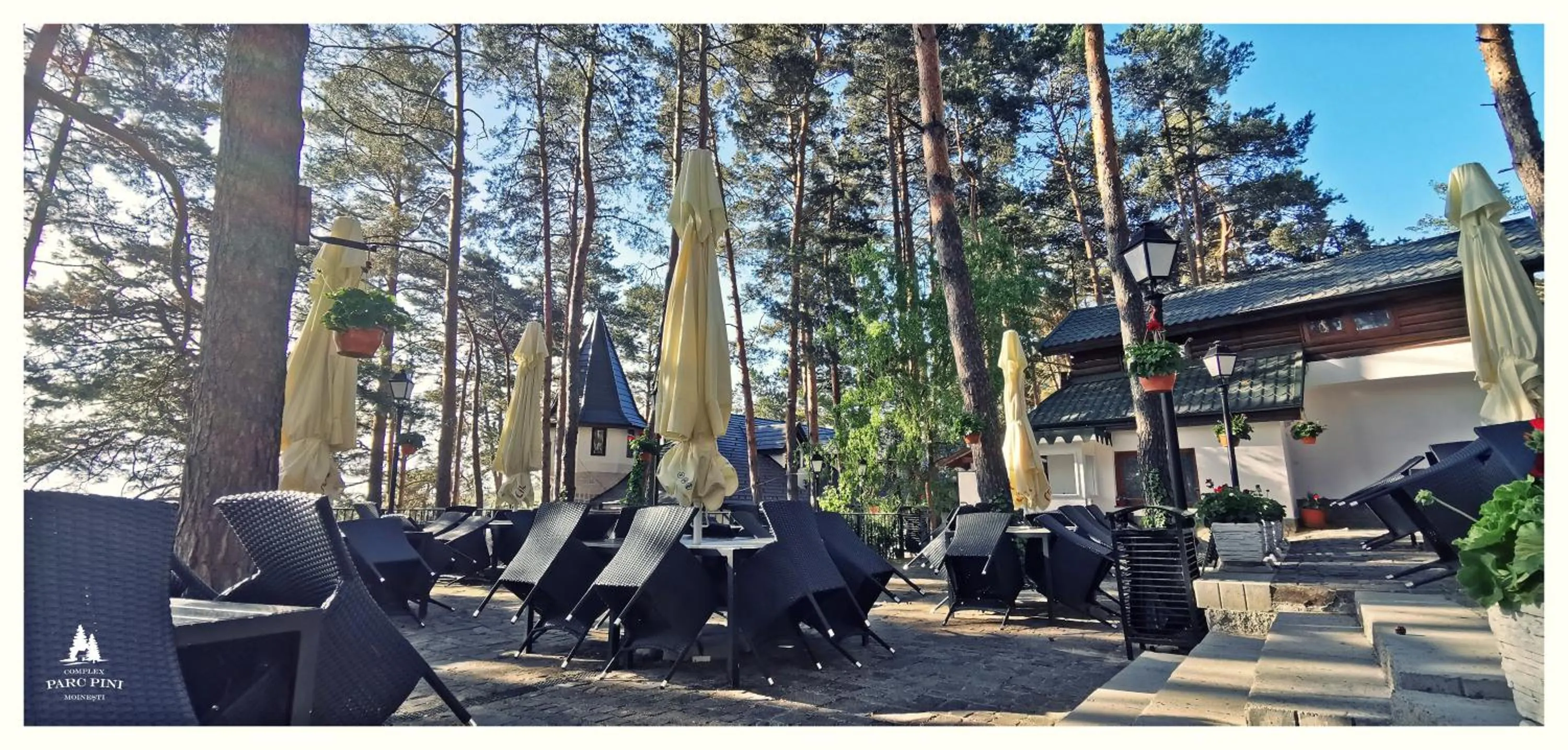 Complex Parc Pini Moinesti