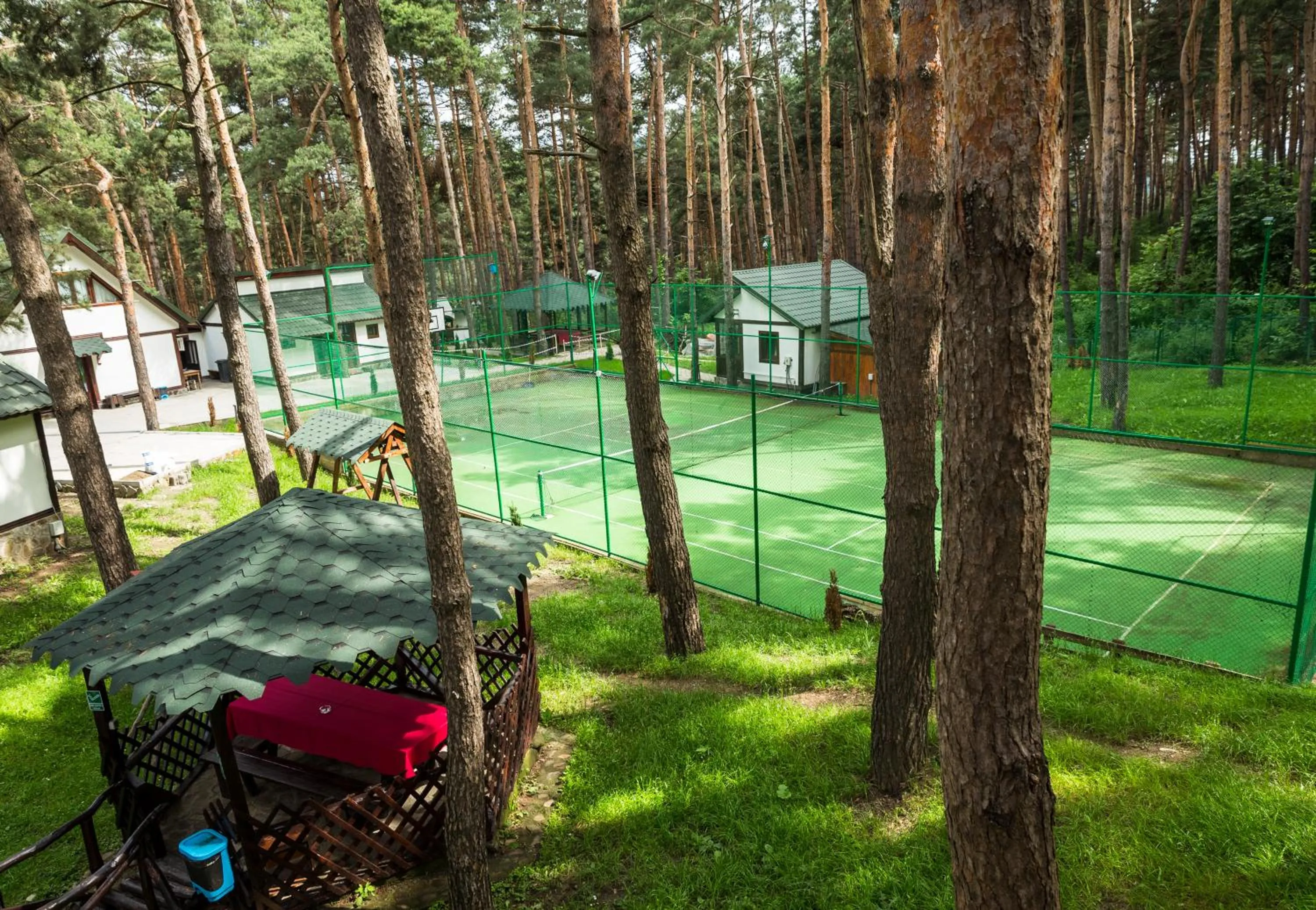 Tennis court in Complex Parc Pini Moinesti