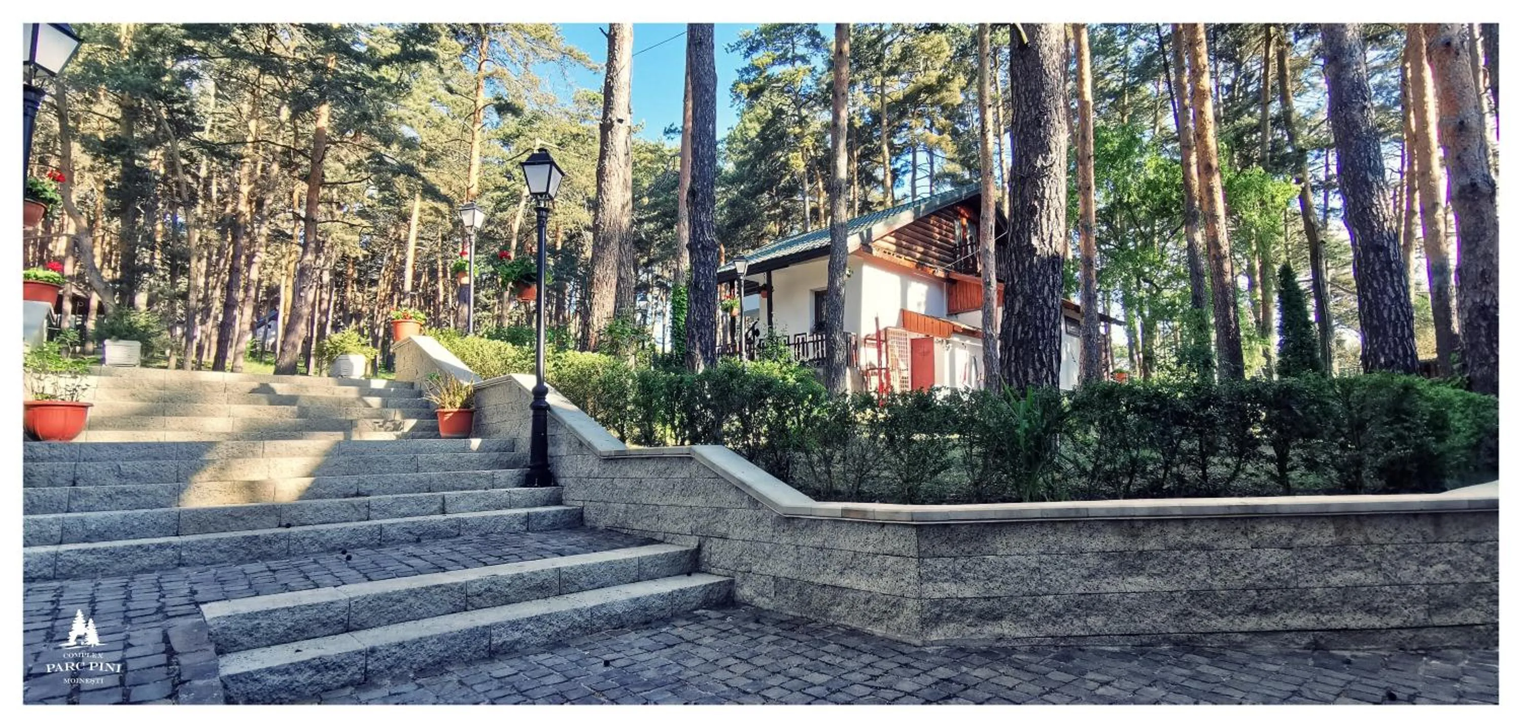 Complex Parc Pini Moinesti