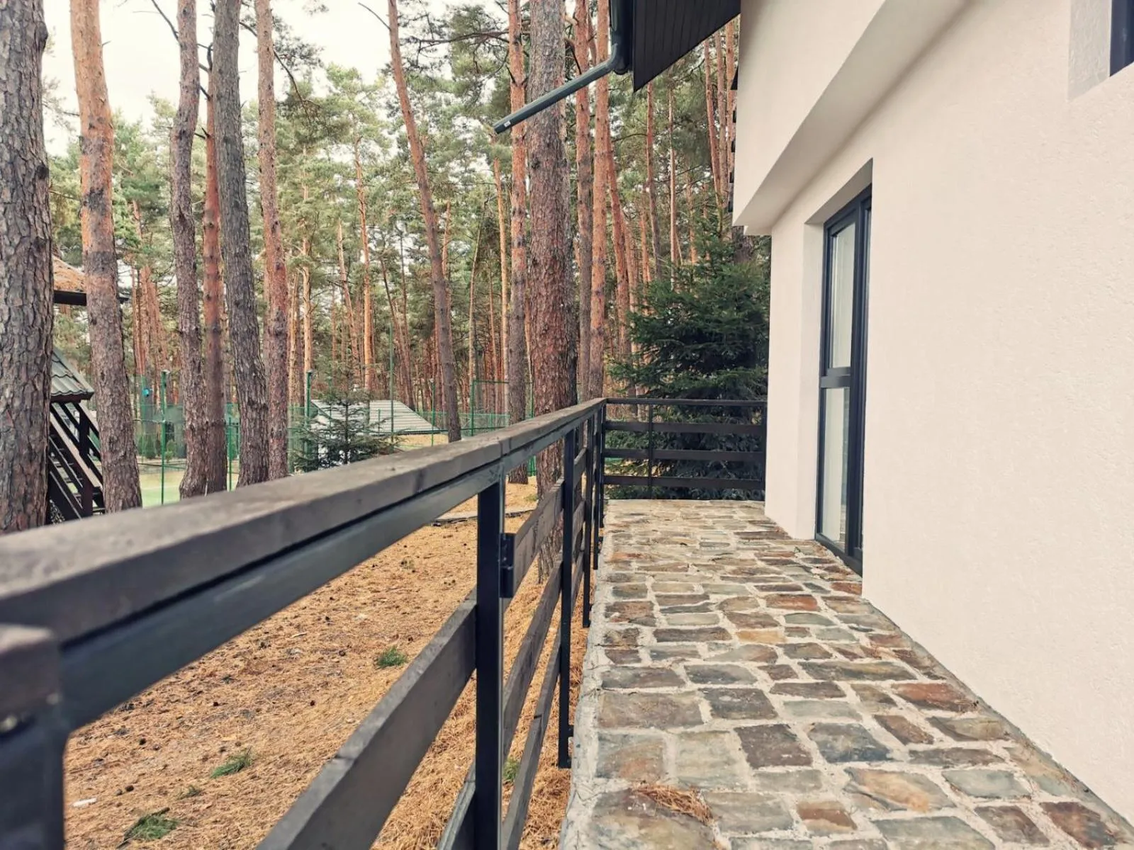 Complex Parc Pini Moinesti