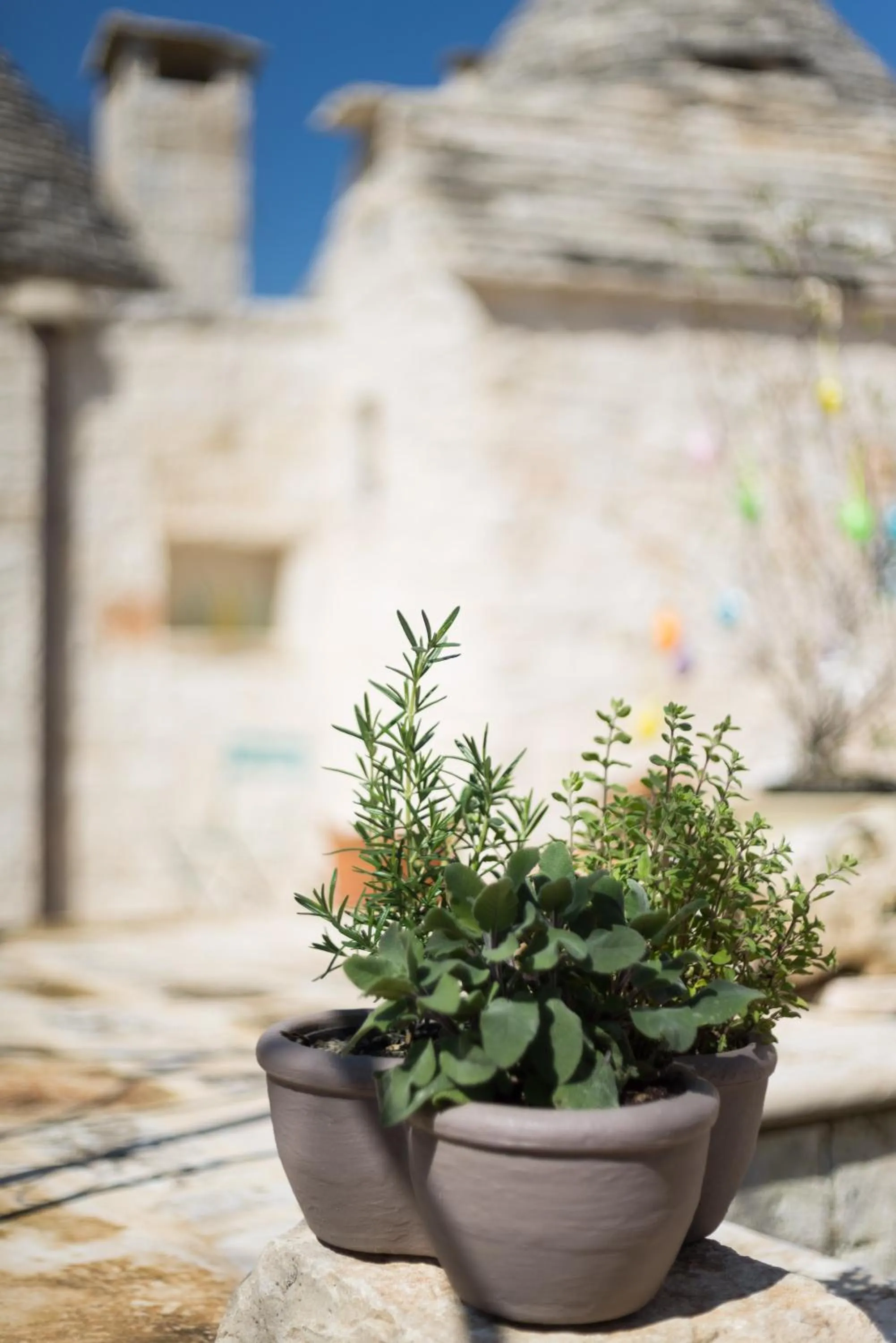 Property building in Le Dieci Porte