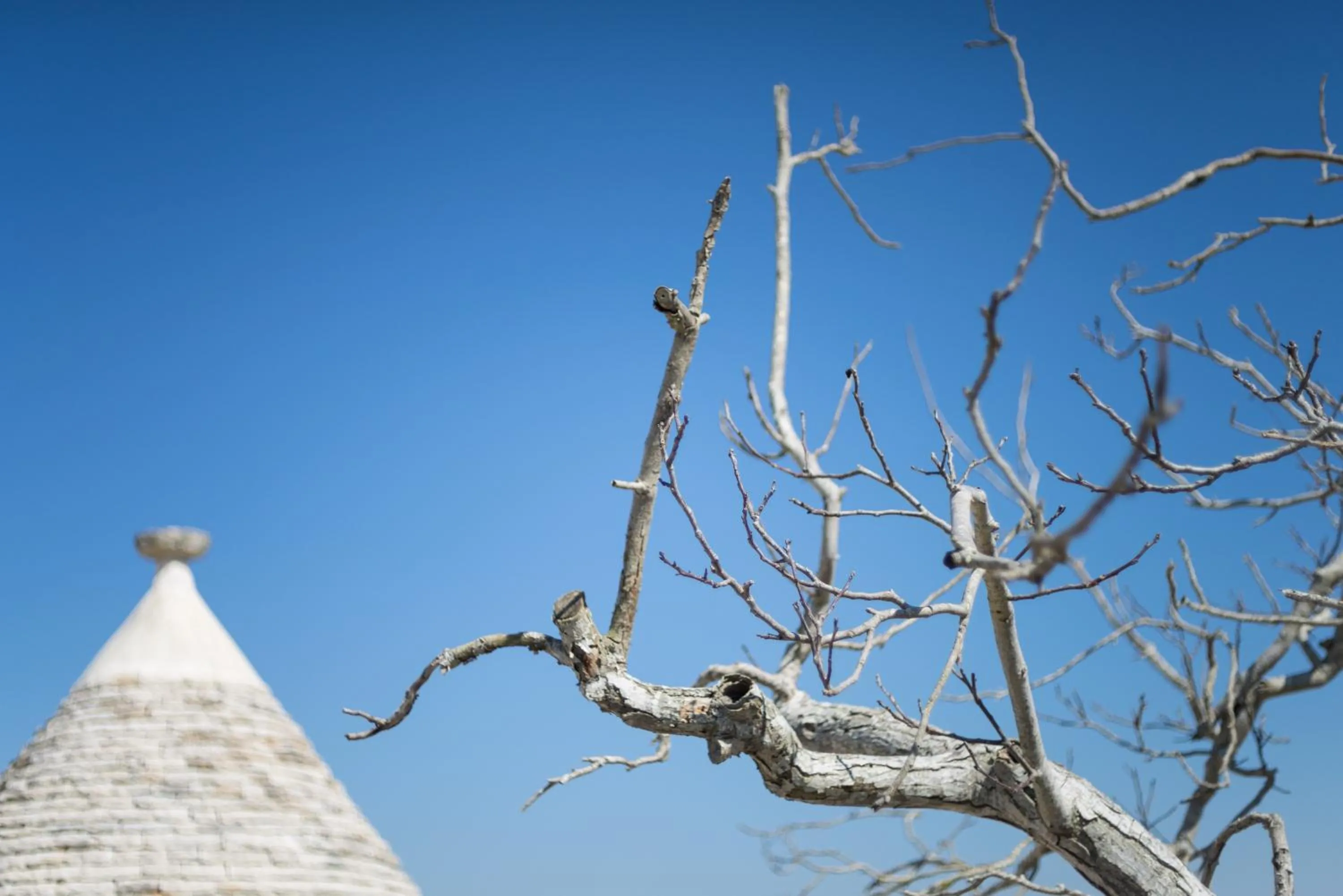 Property building in Le Dieci Porte