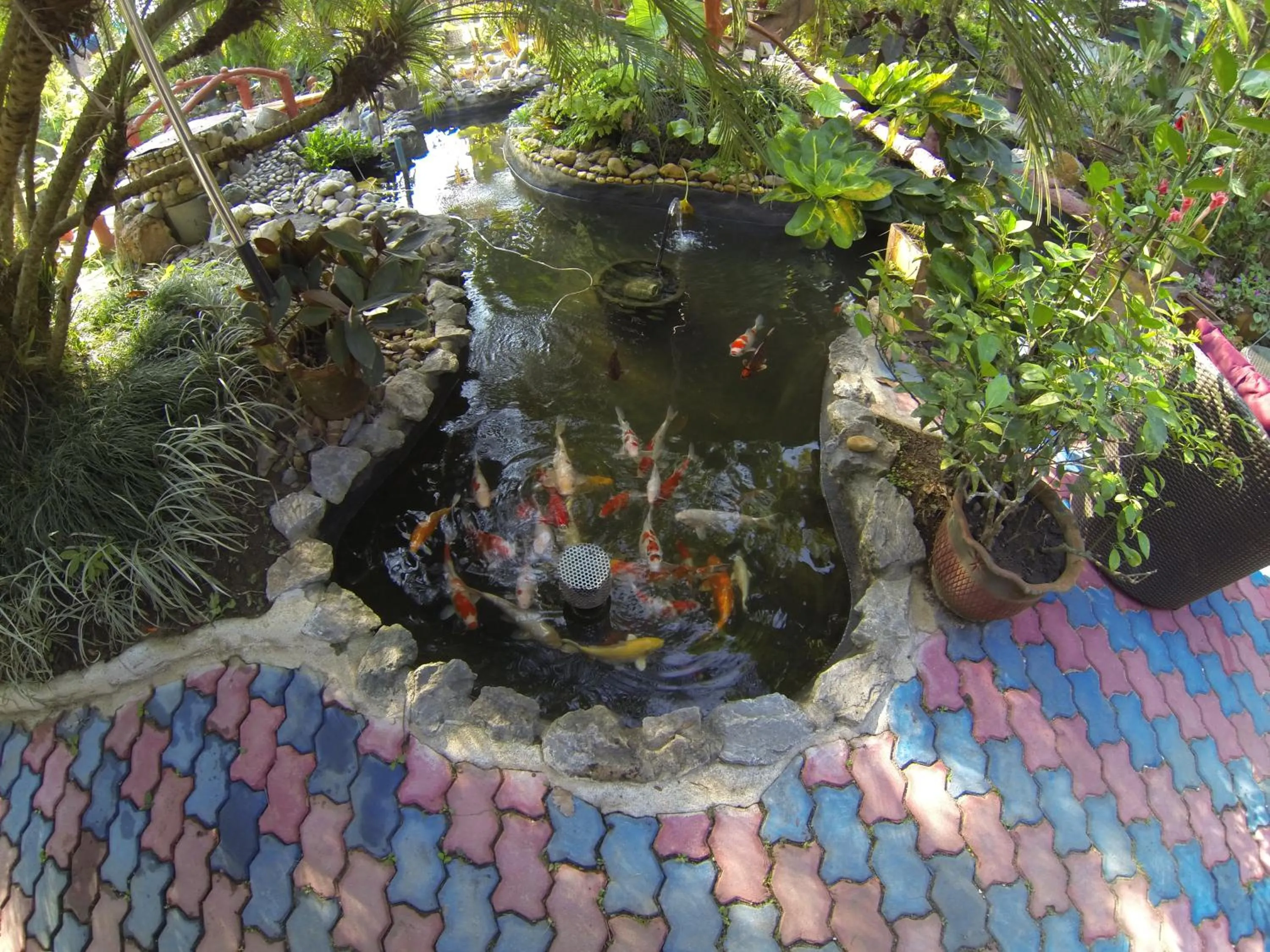 Garden view in Riverside