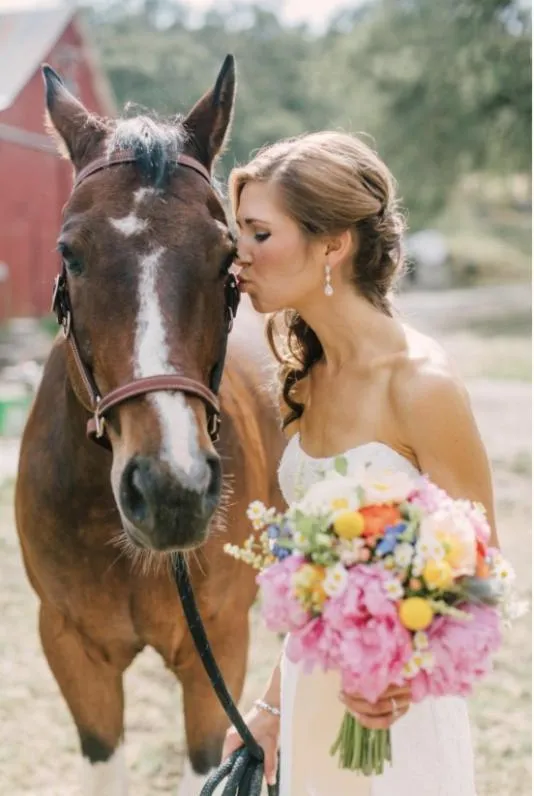 Activities in Seminole Inn