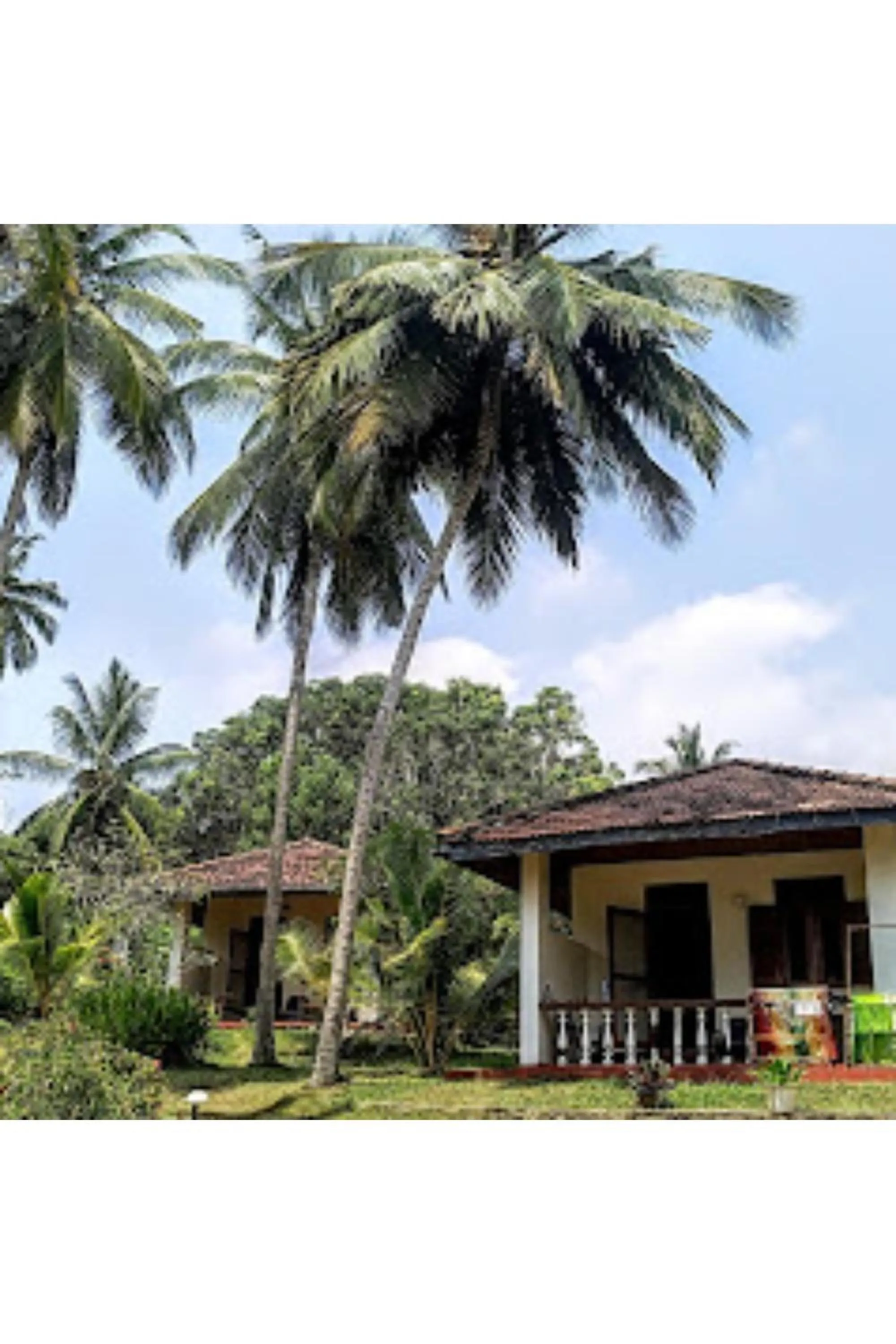 Rocky point beach bungalows