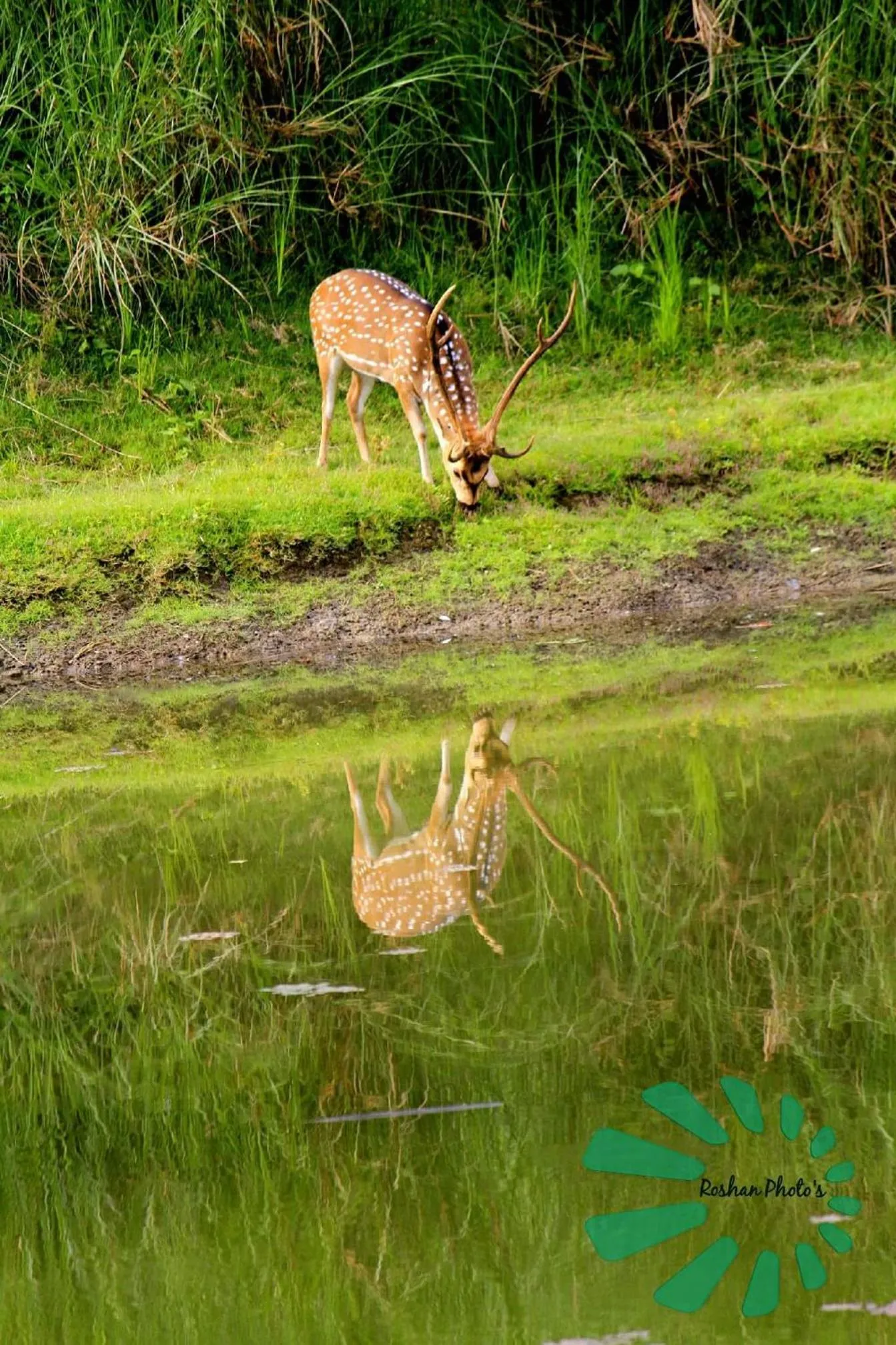 Activities in Rainbow Safari Resort