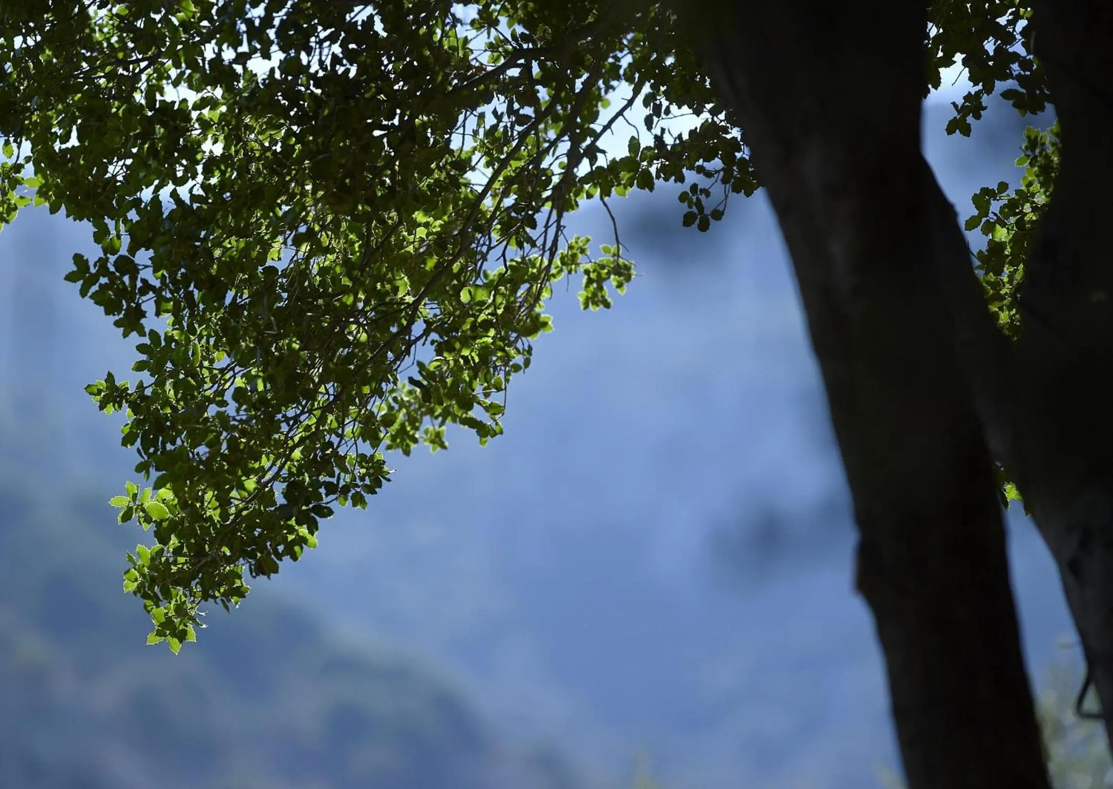 Summer in Country Hotel Velani