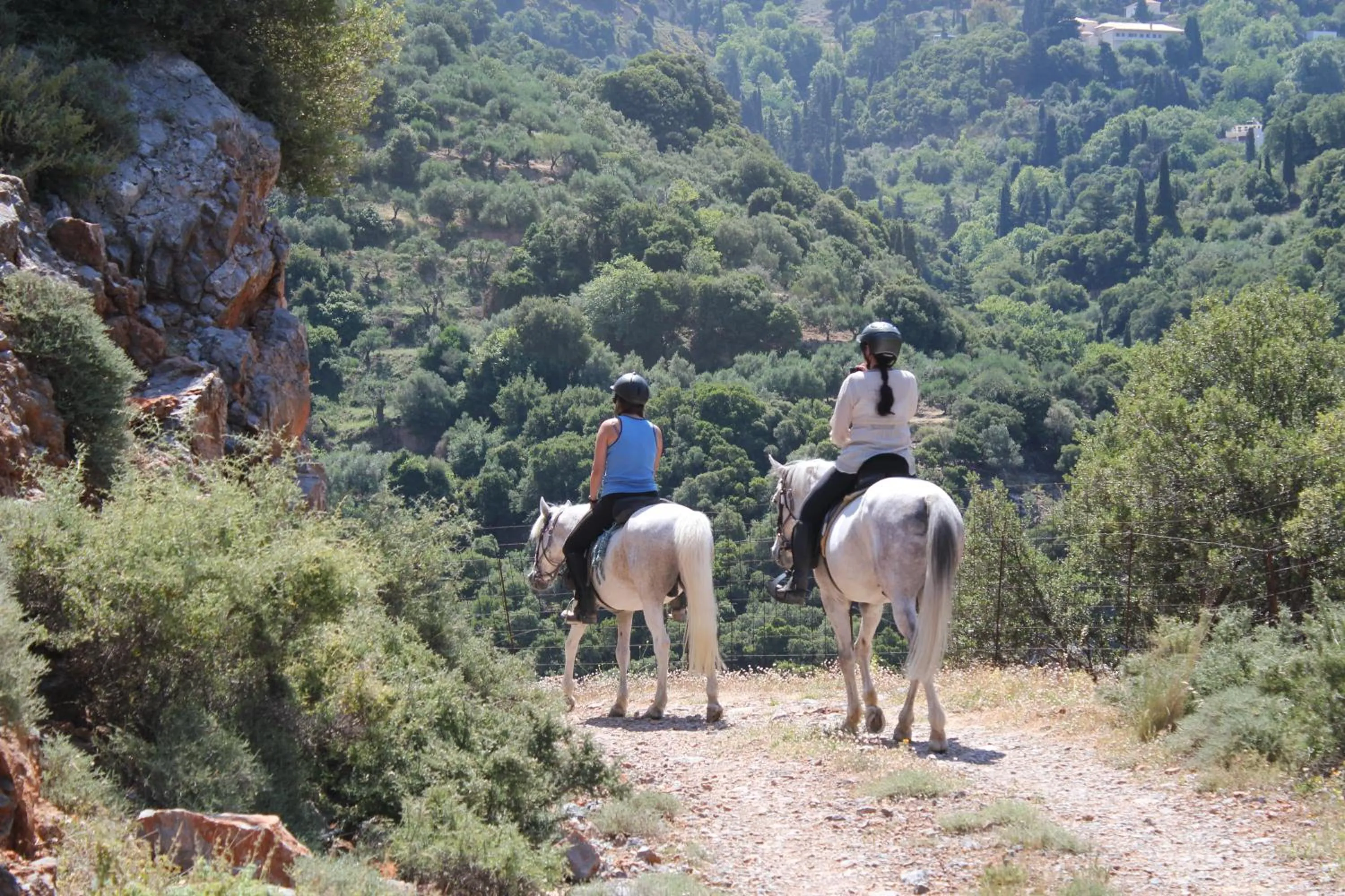Horse-riding in Country Hotel Velani