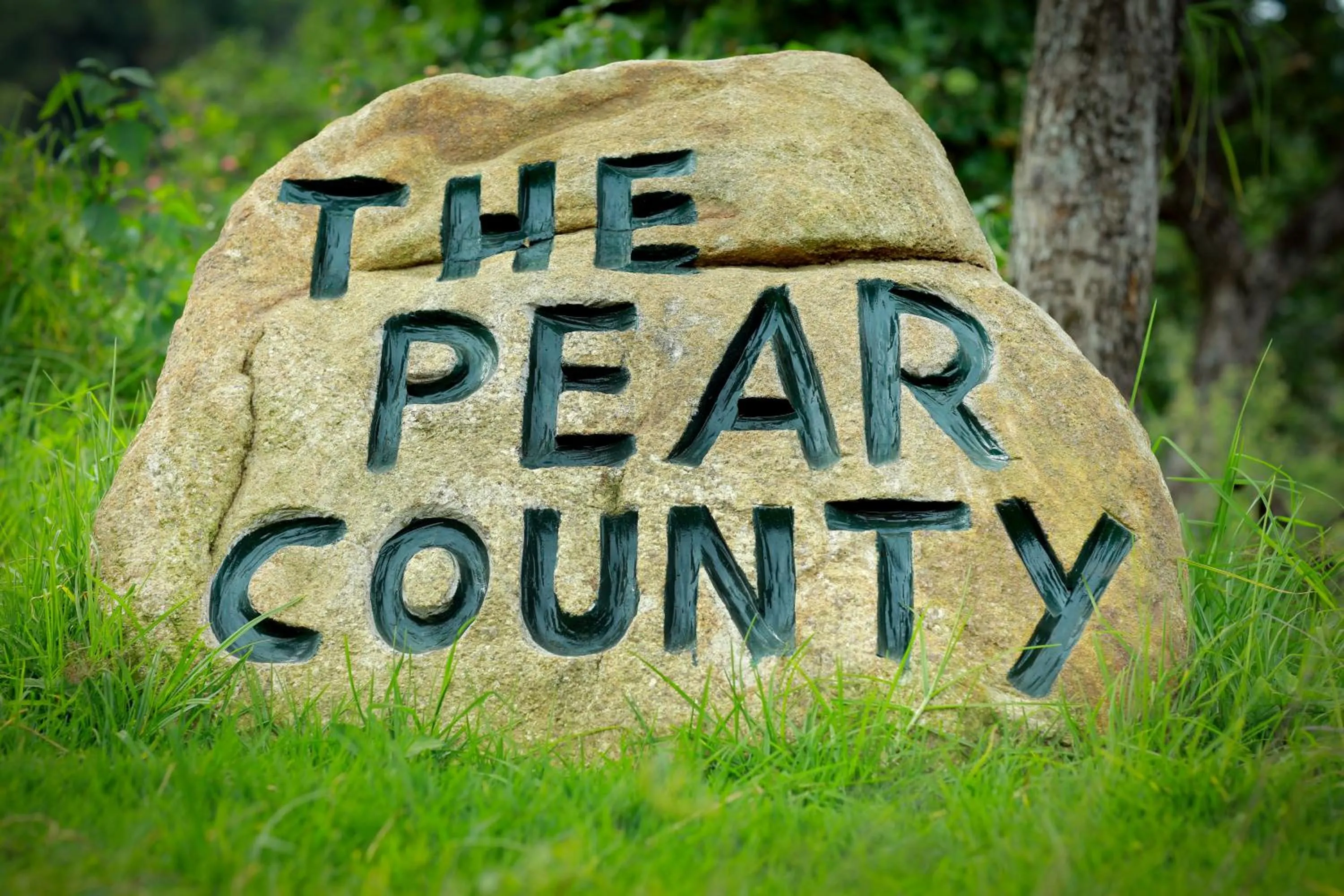 Garden in The Pear County