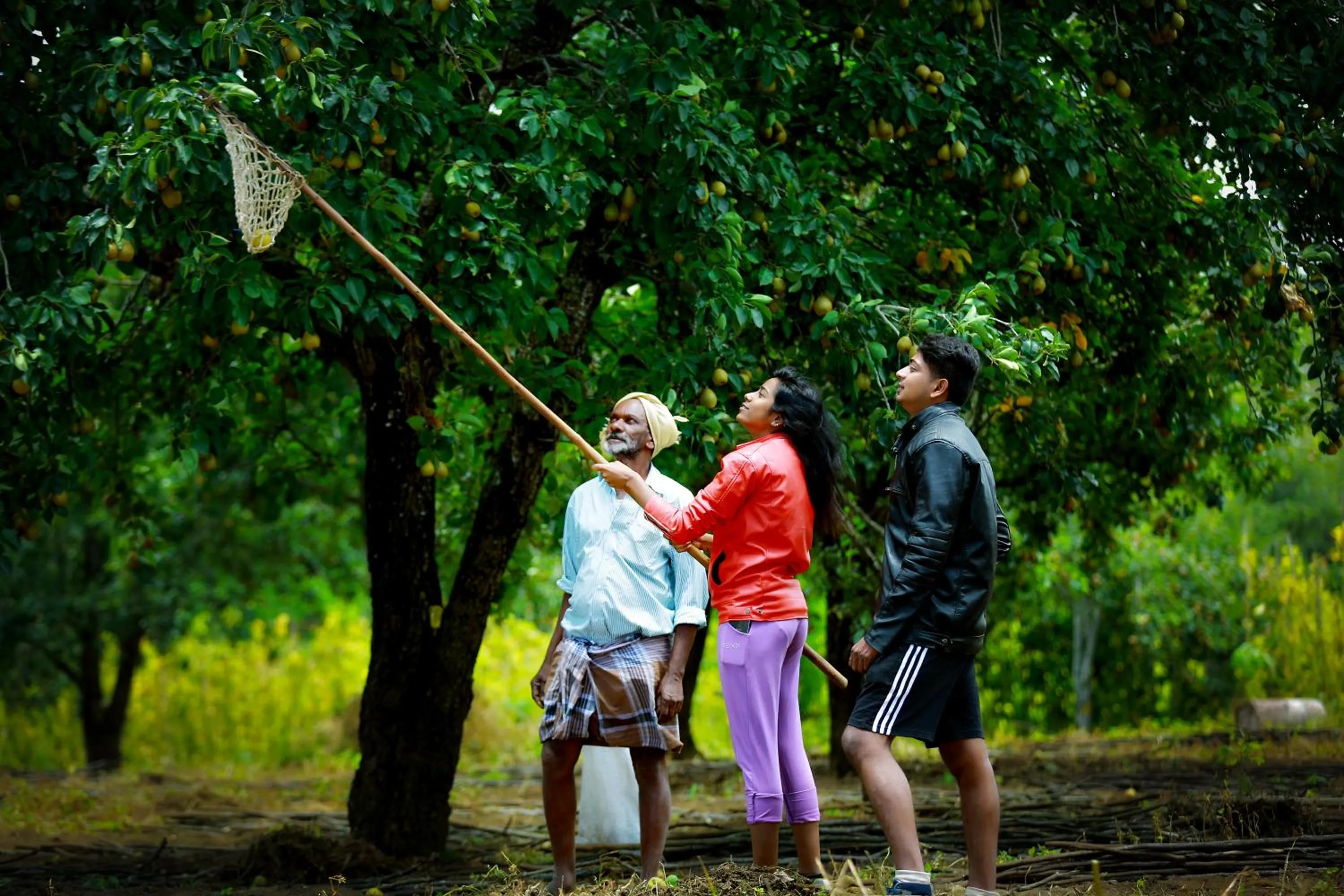 Activities in The Pear County