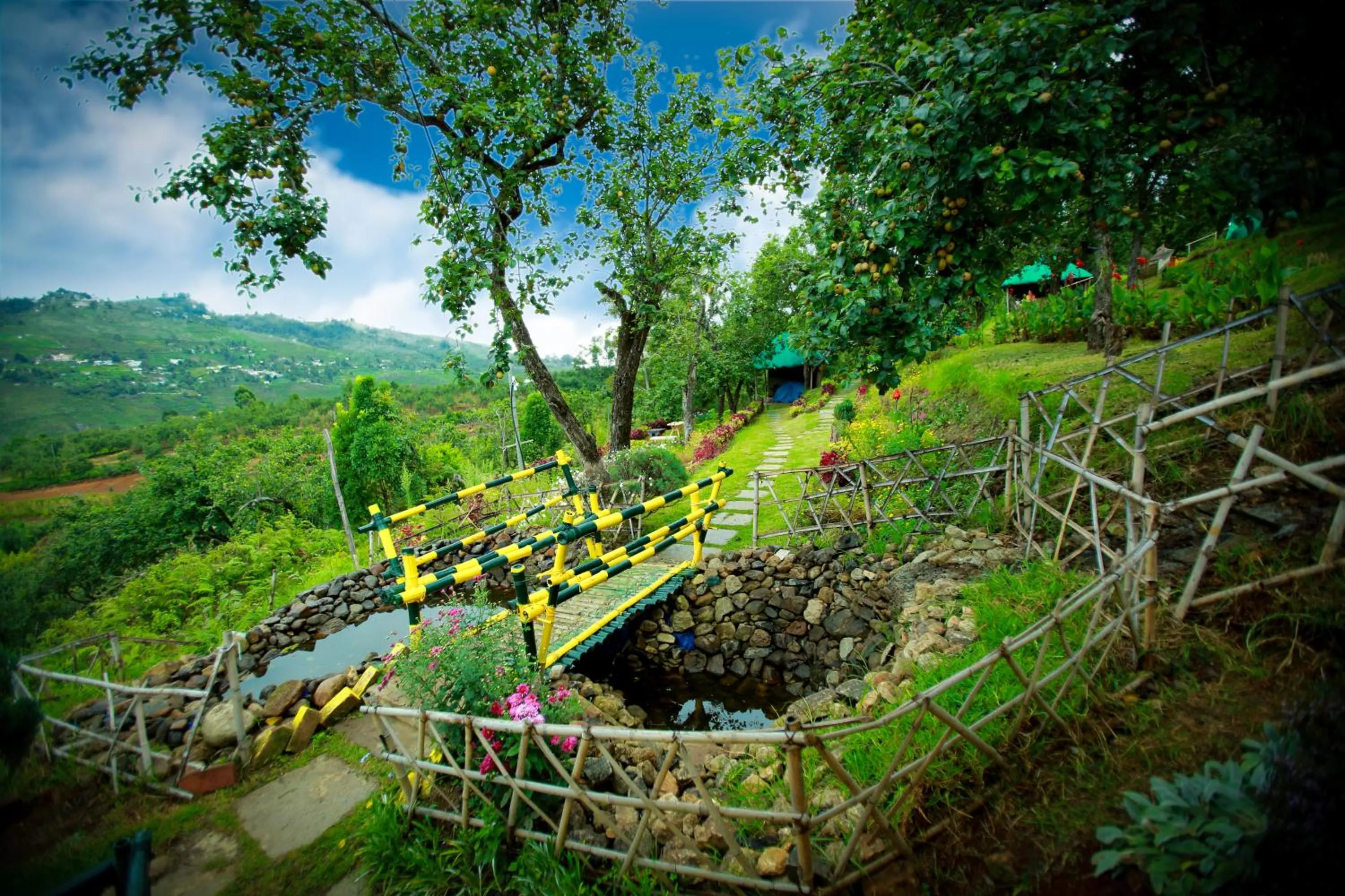 Garden in The Pear County