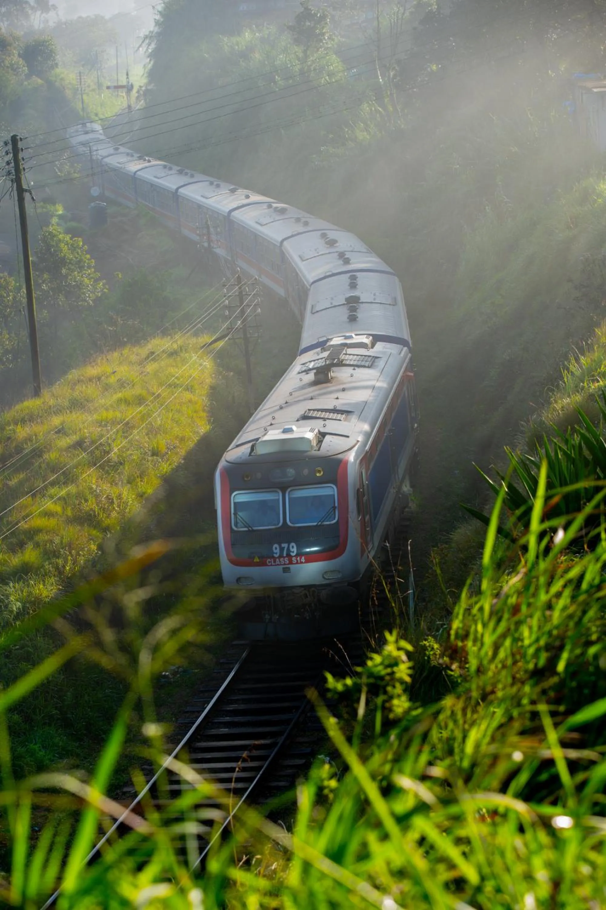 Natural landscape in Olympus Plaza Hotel