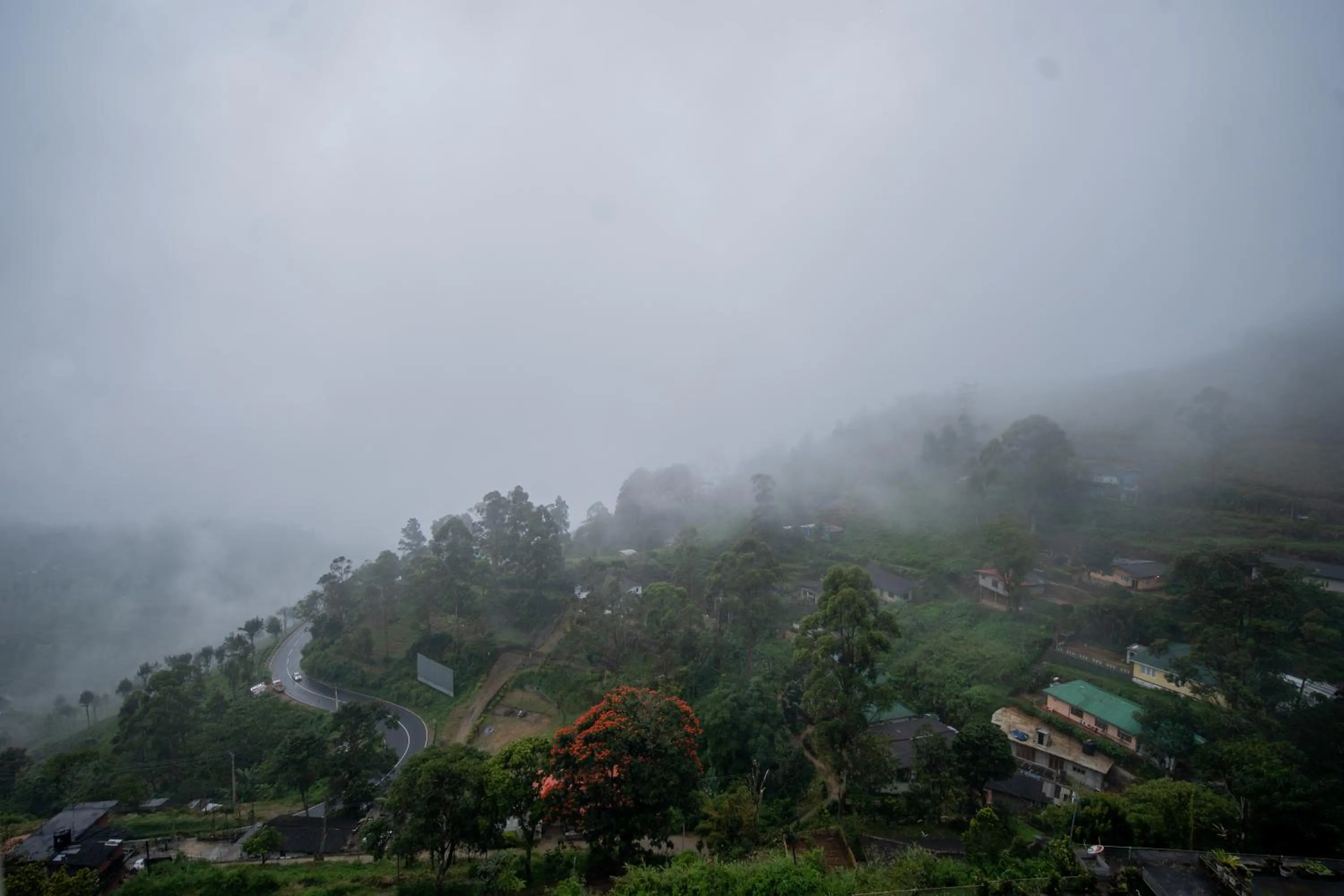 Natural landscape in Olympus Plaza Hotel