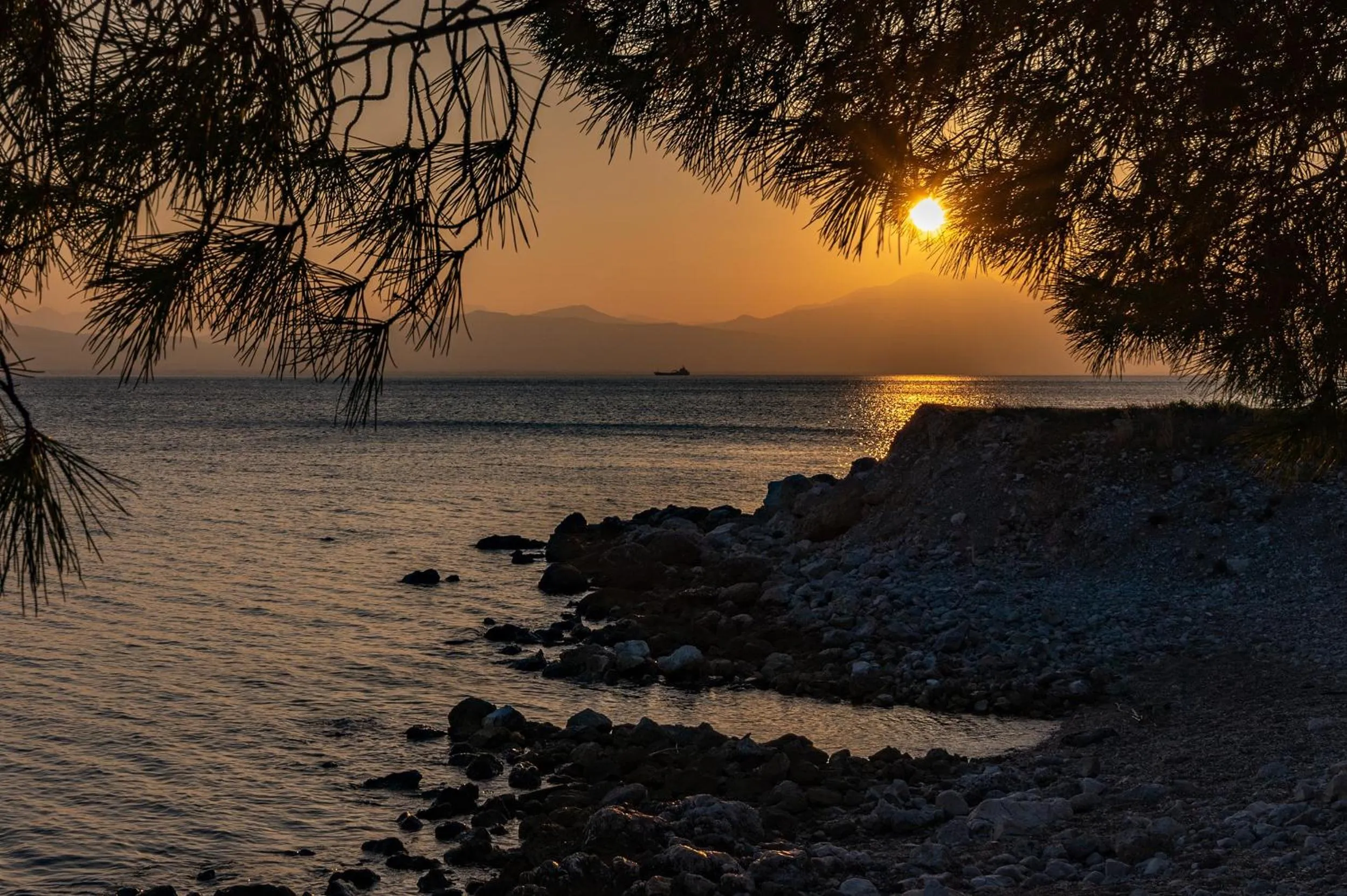 Neighbourhood in Genesis Hotel