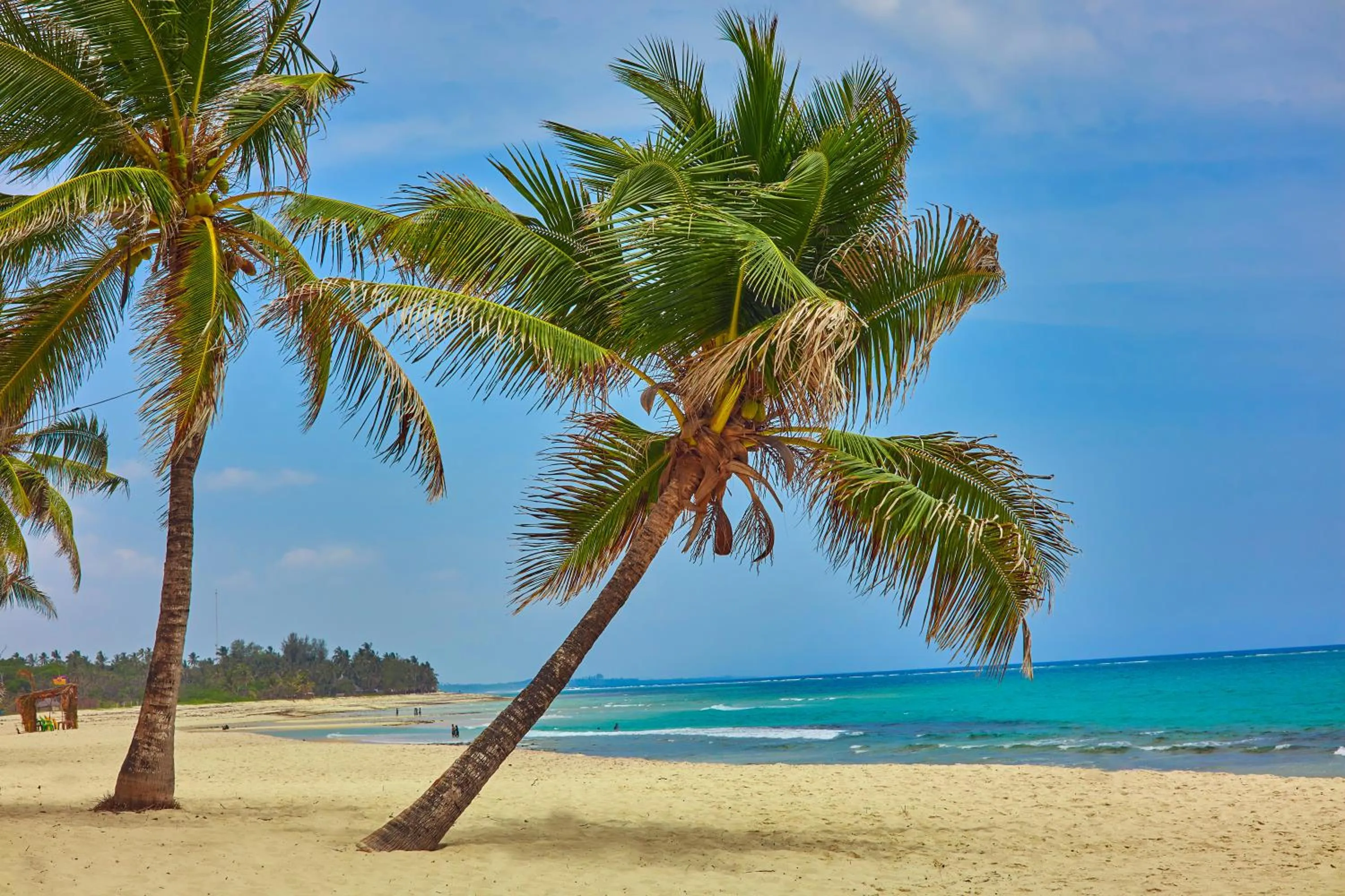 Beach in Jacaranda Indian Ocean Beach Resort