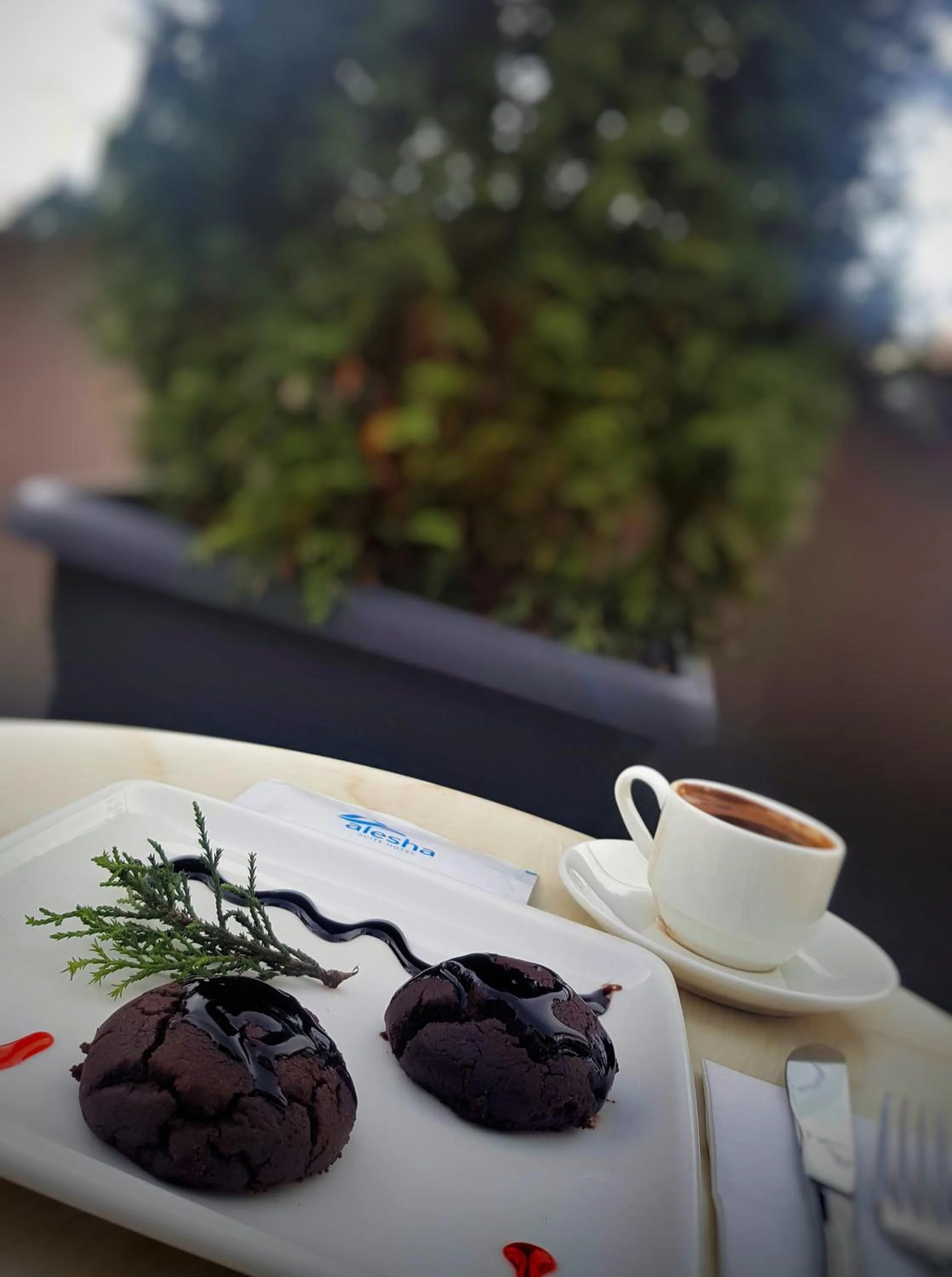 Day in Alesha Suite Otel