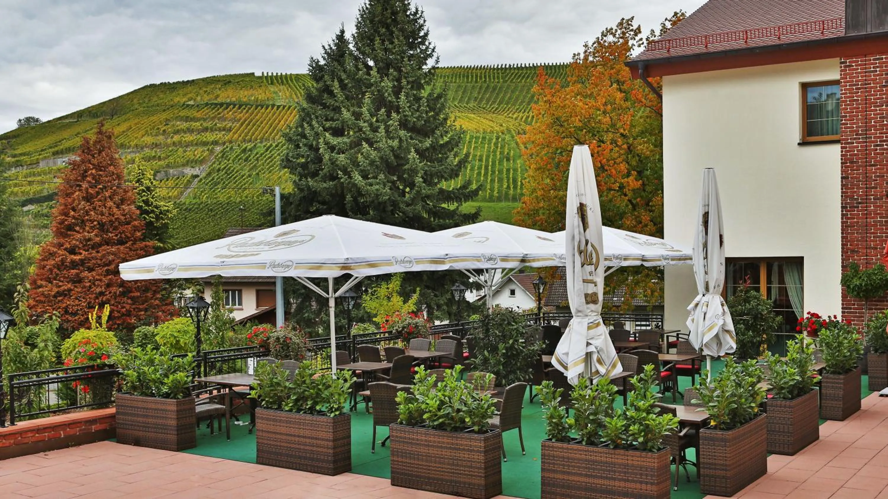 Restaurant/places to eat in Hotel Rebstock