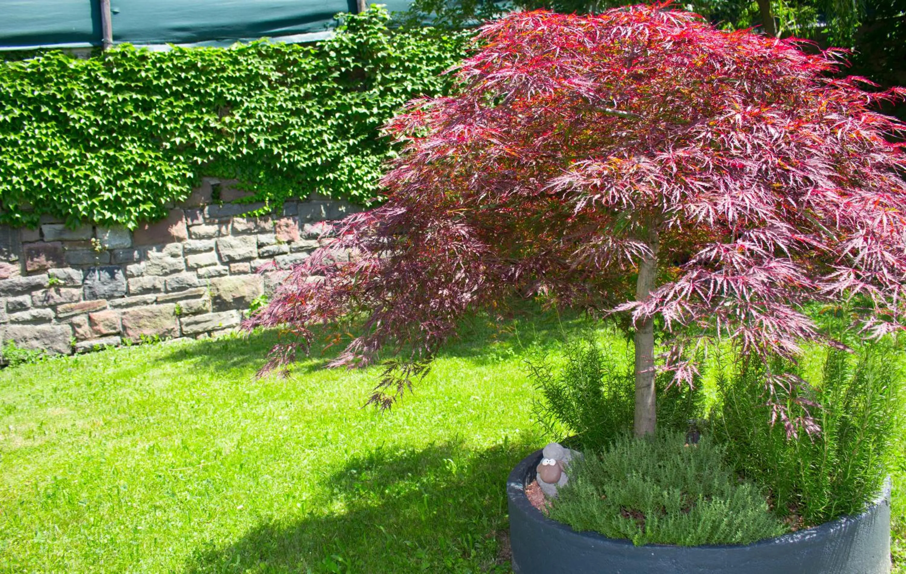 Spring in Schenna Garni Eden Bed & Breakfast