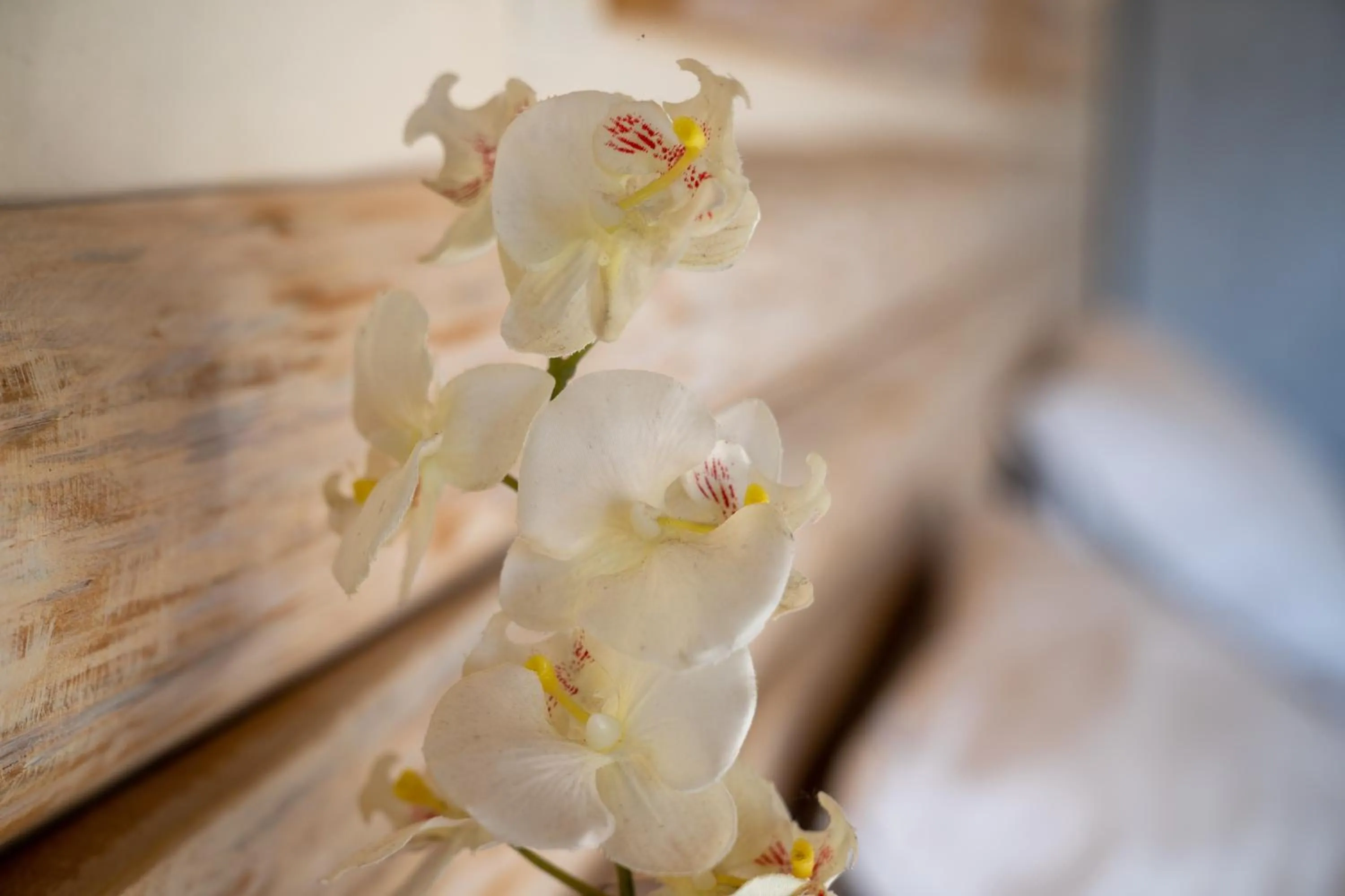 Decorative detail in Villa Del Sol Corfu