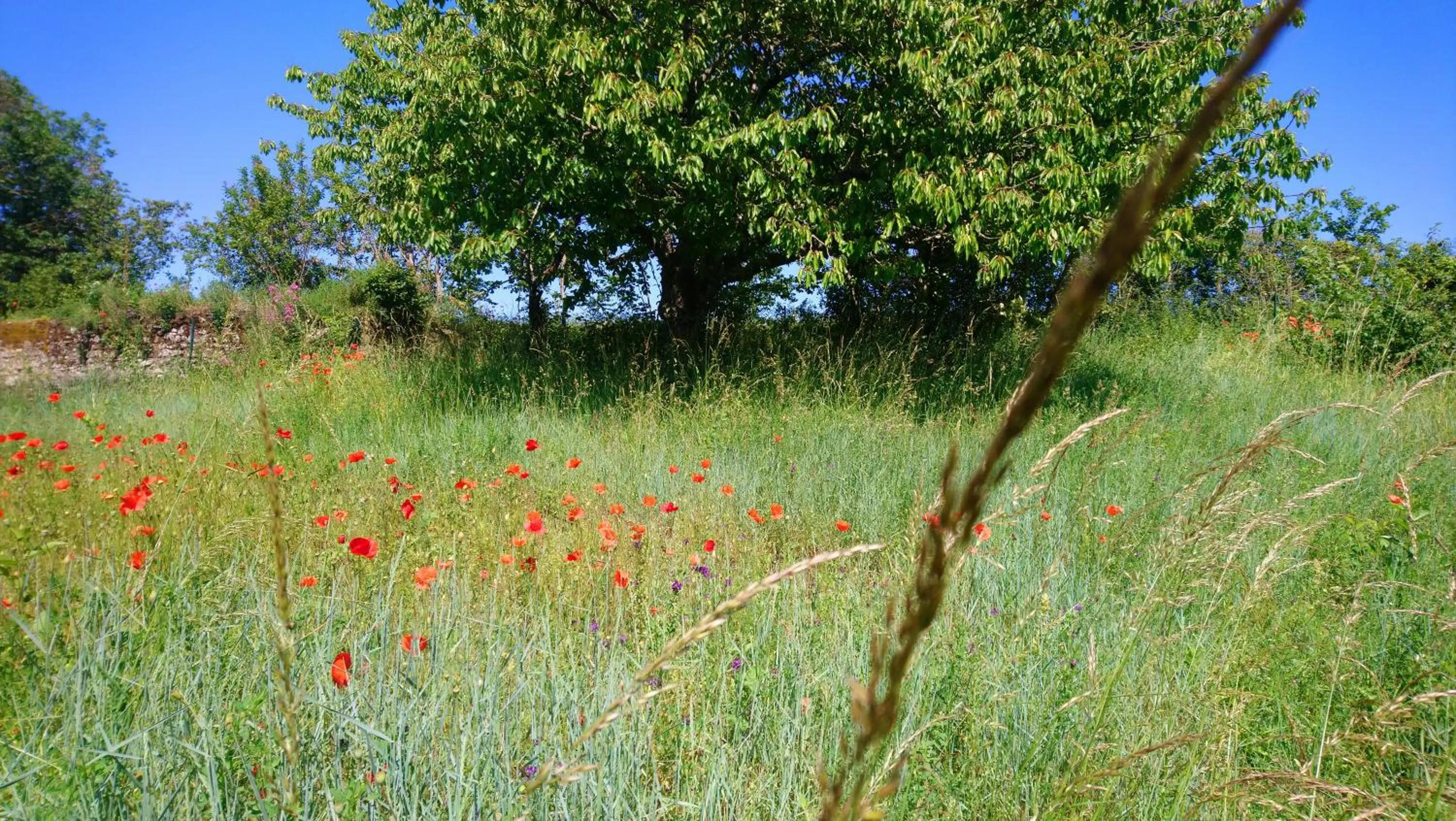 Patio in La Tonnelle de Vouvray