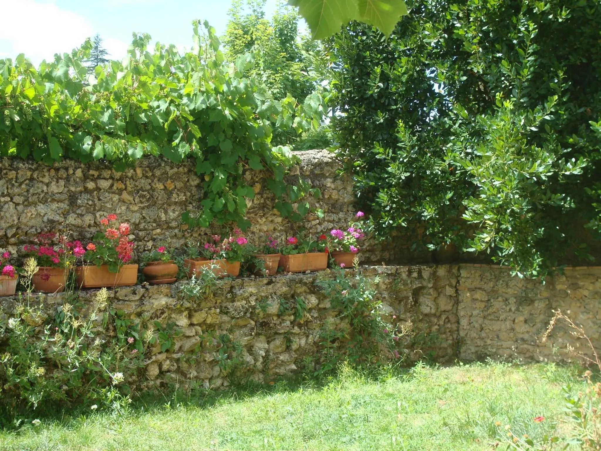 Garden in La Tonnelle de Vouvray