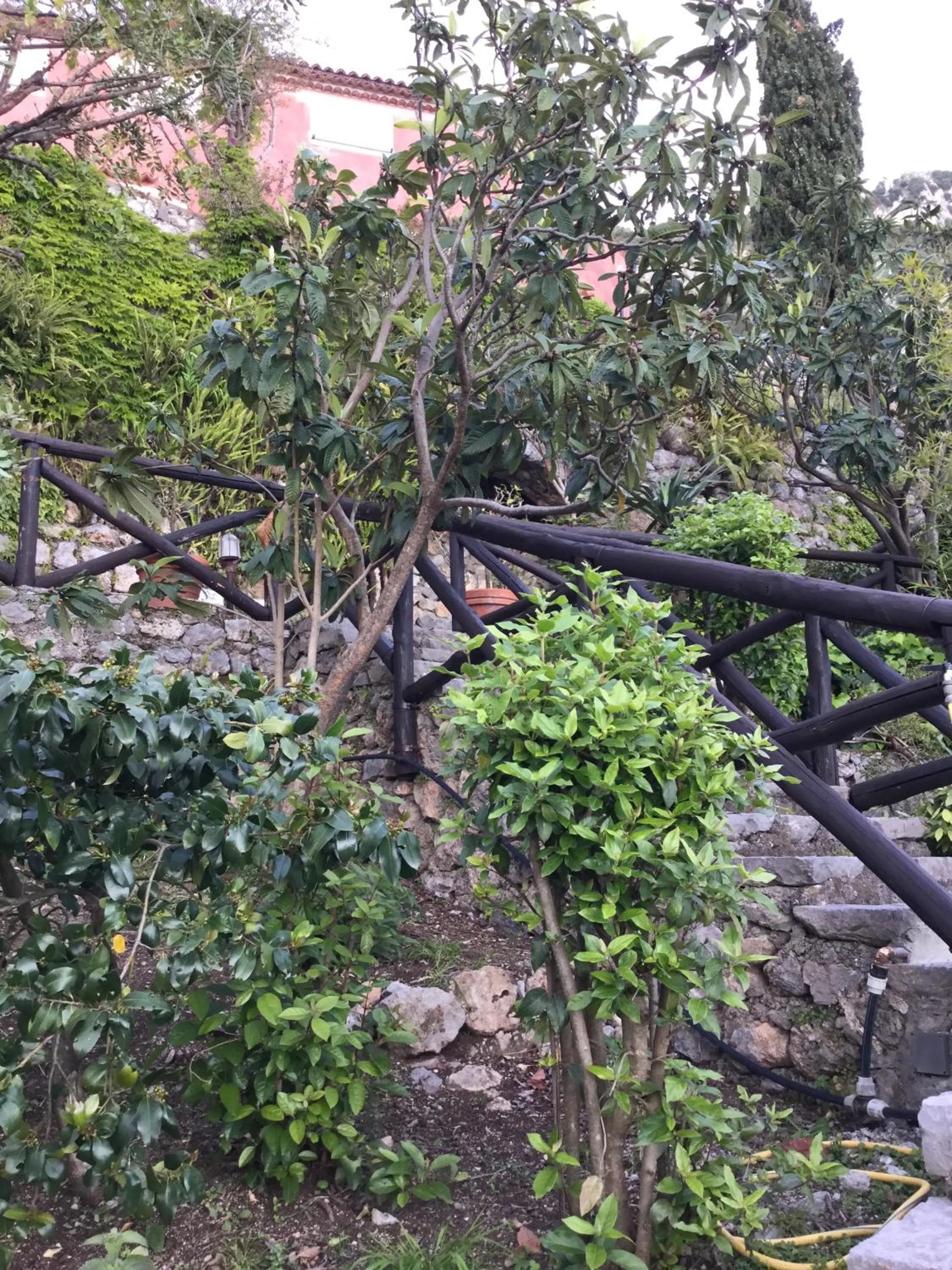 Garden in B&B Le Tre Casette