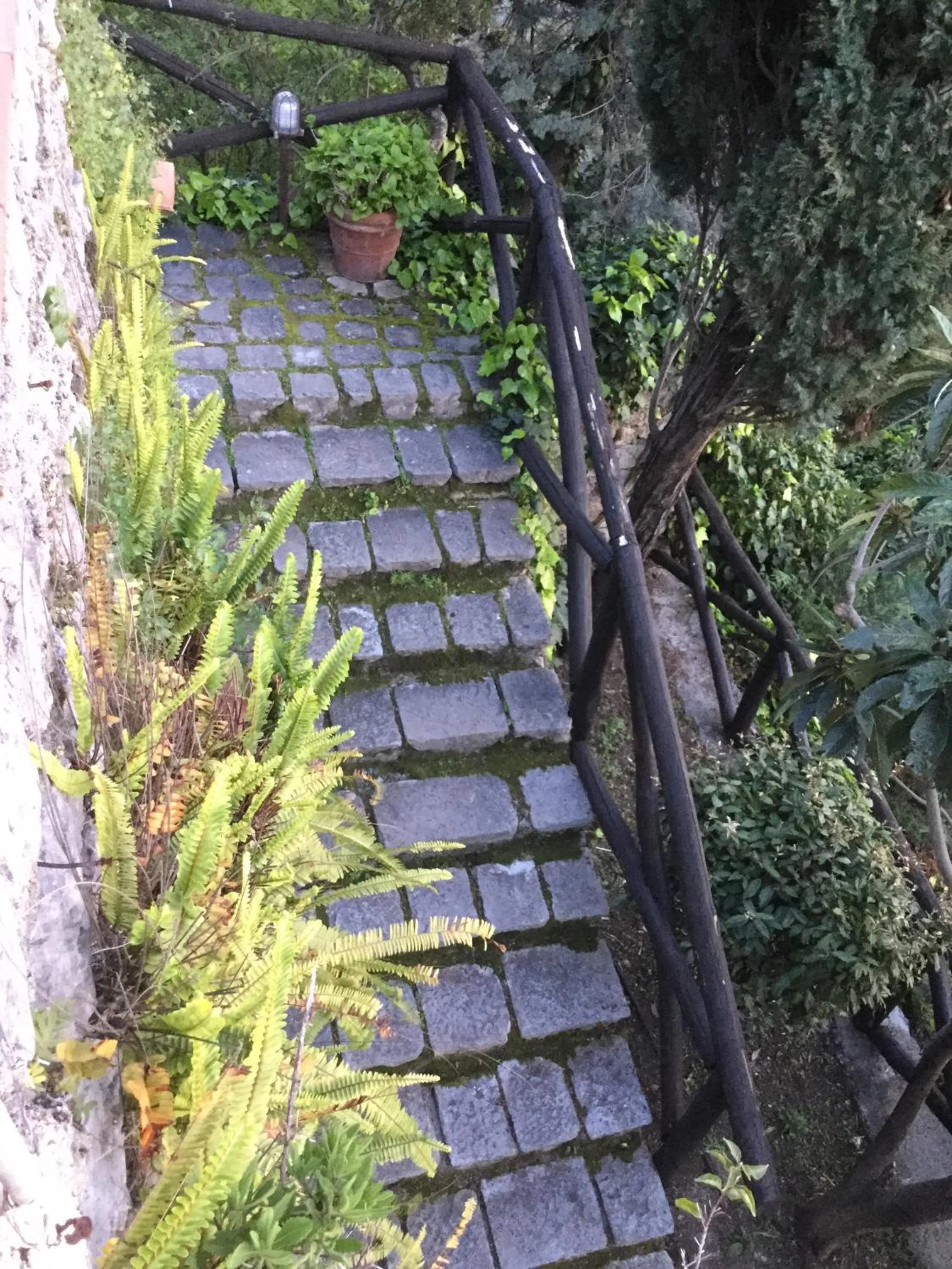 Garden in B&B Le Tre Casette