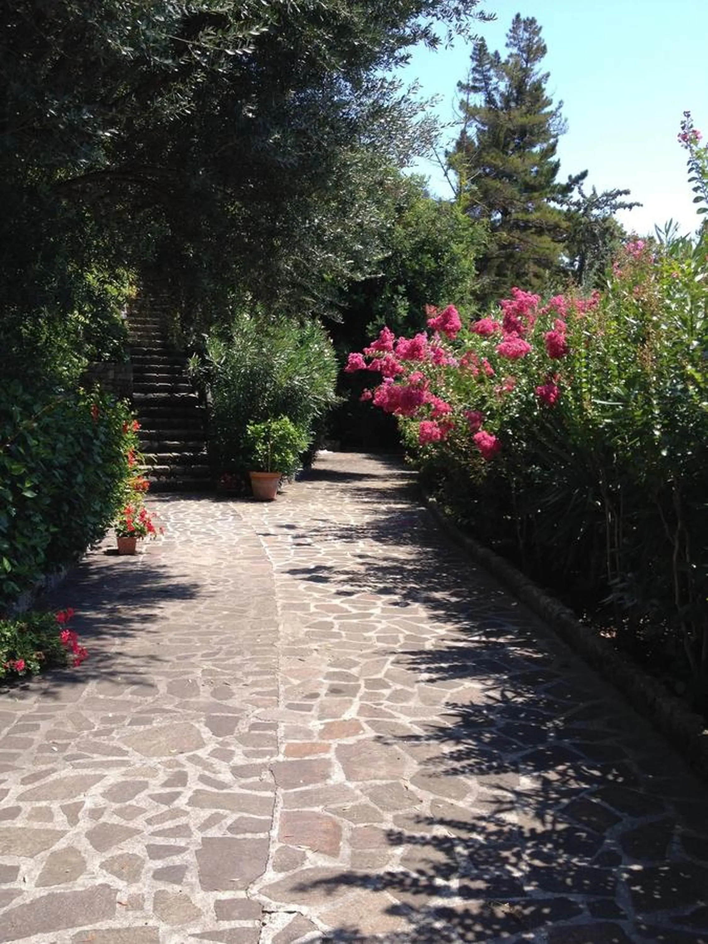 Garden in B&B Le Tre Casette