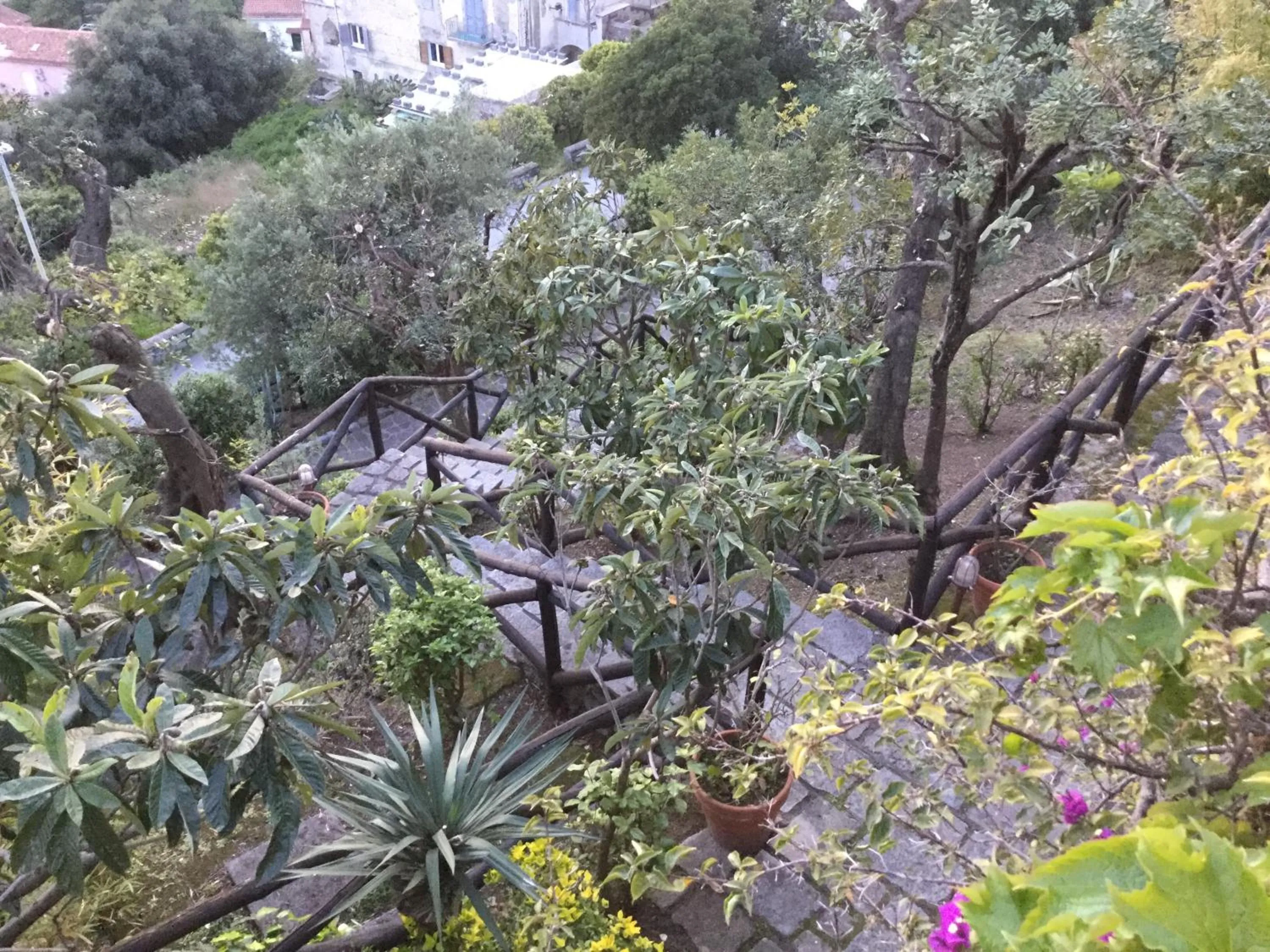 Garden in B&B Le Tre Casette