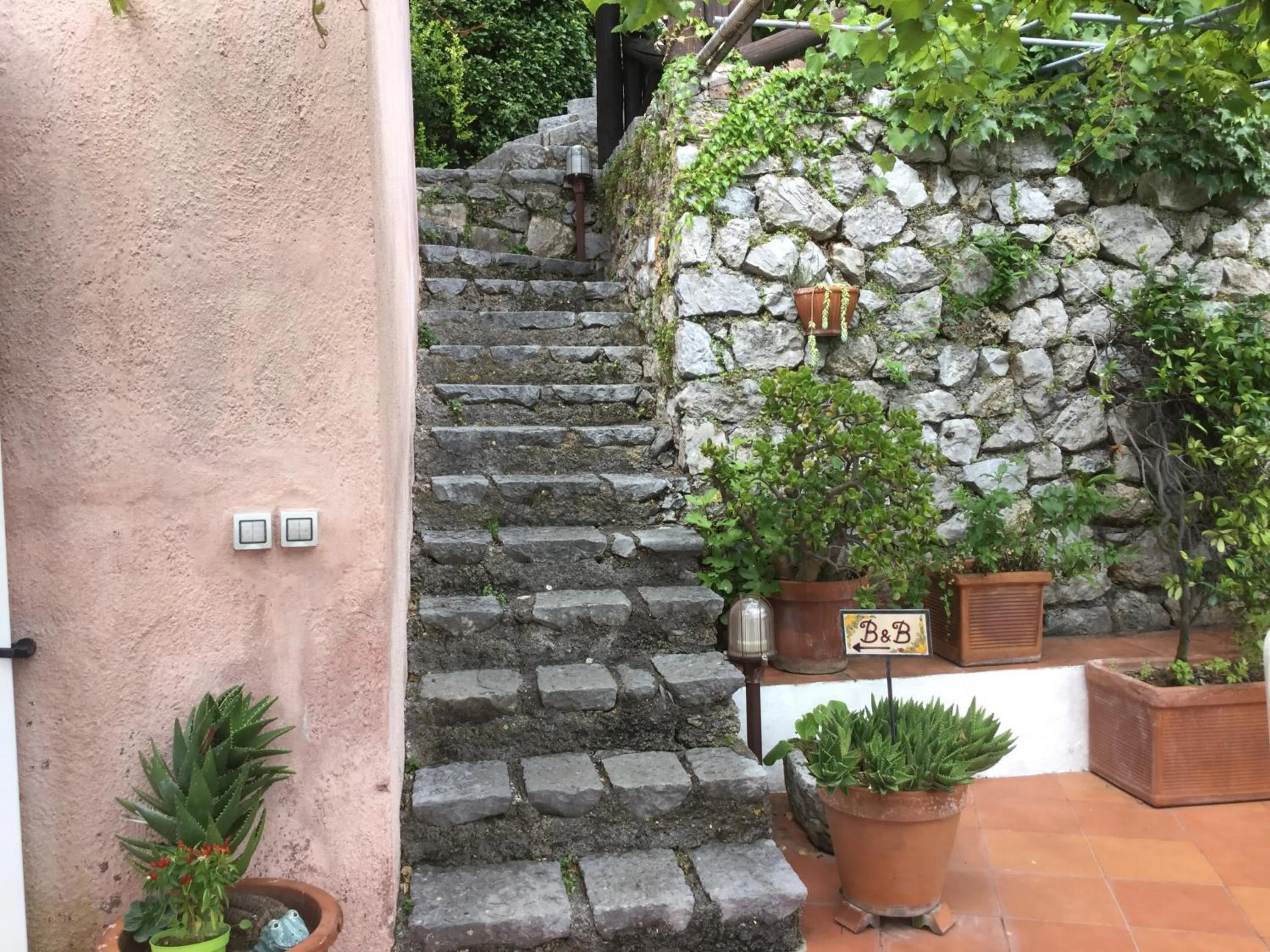 Garden in B&B Le Tre Casette