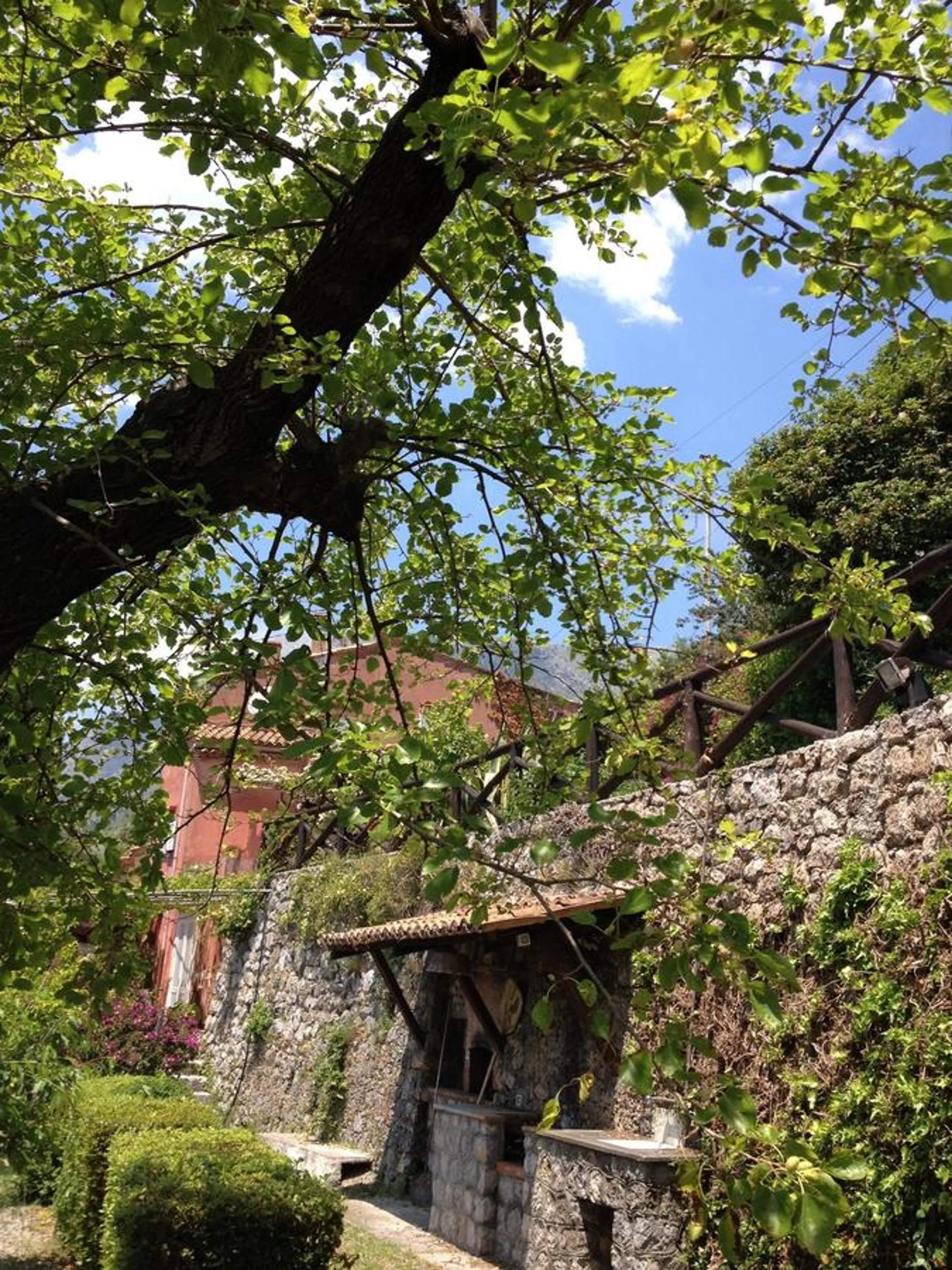 Garden in B&B Le Tre Casette
