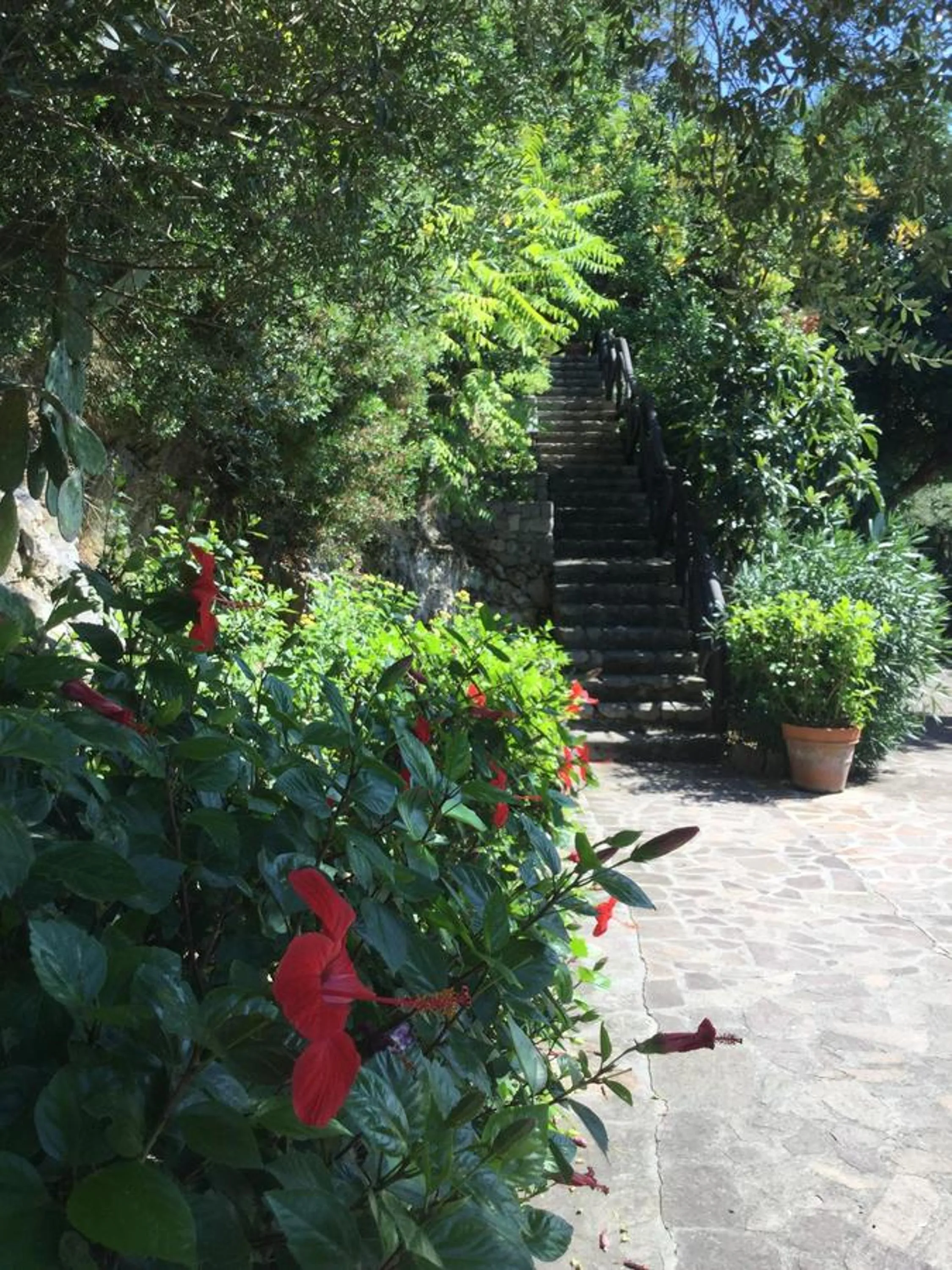 Garden in B&B Le Tre Casette