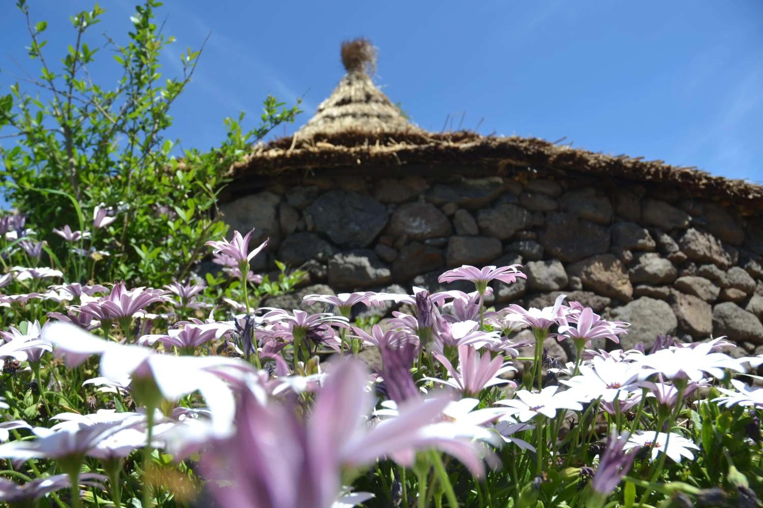 Bed in B&B Antica Botte Sassari