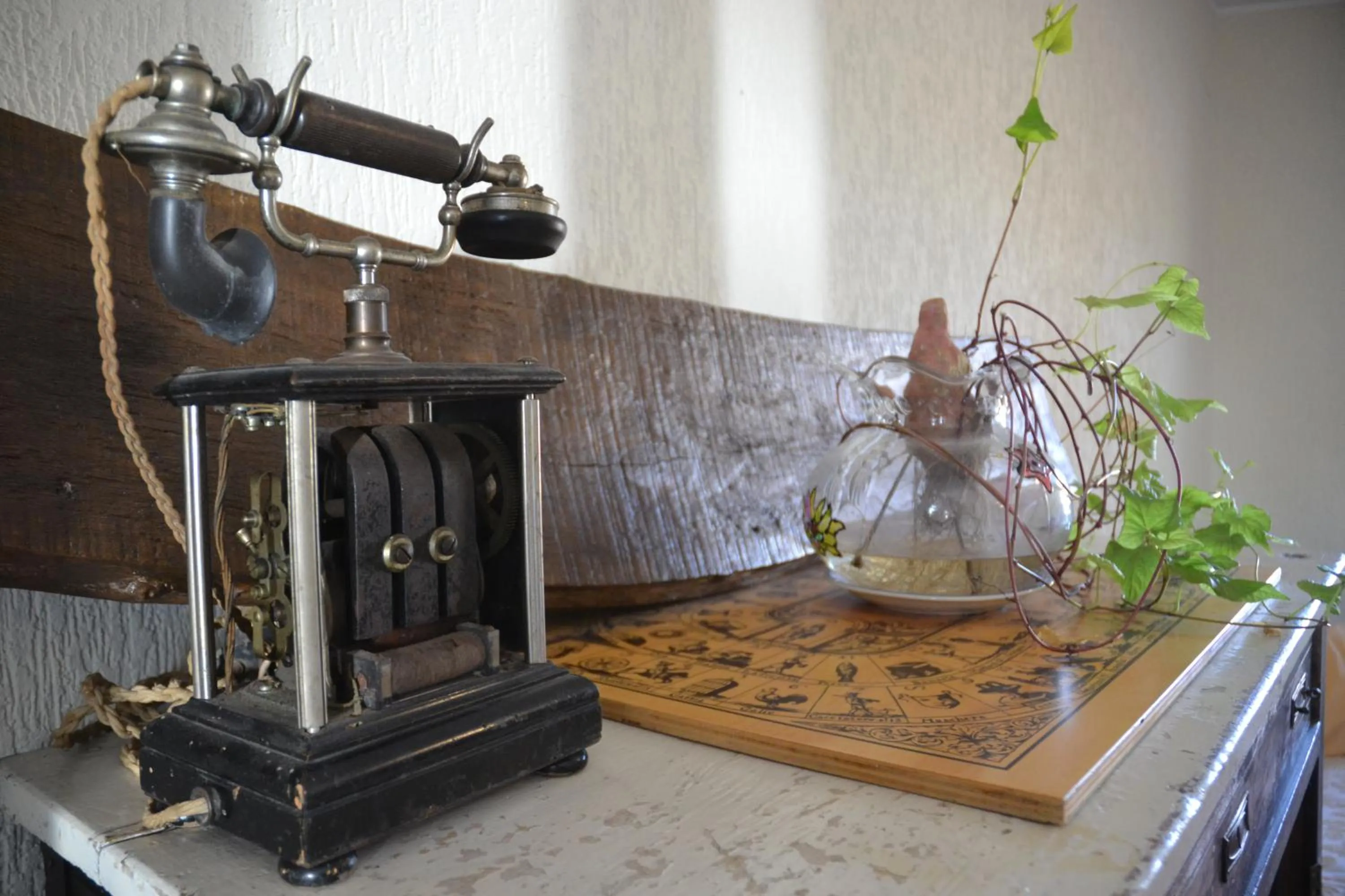 Area and facilities in B&B Antica Botte Sassari