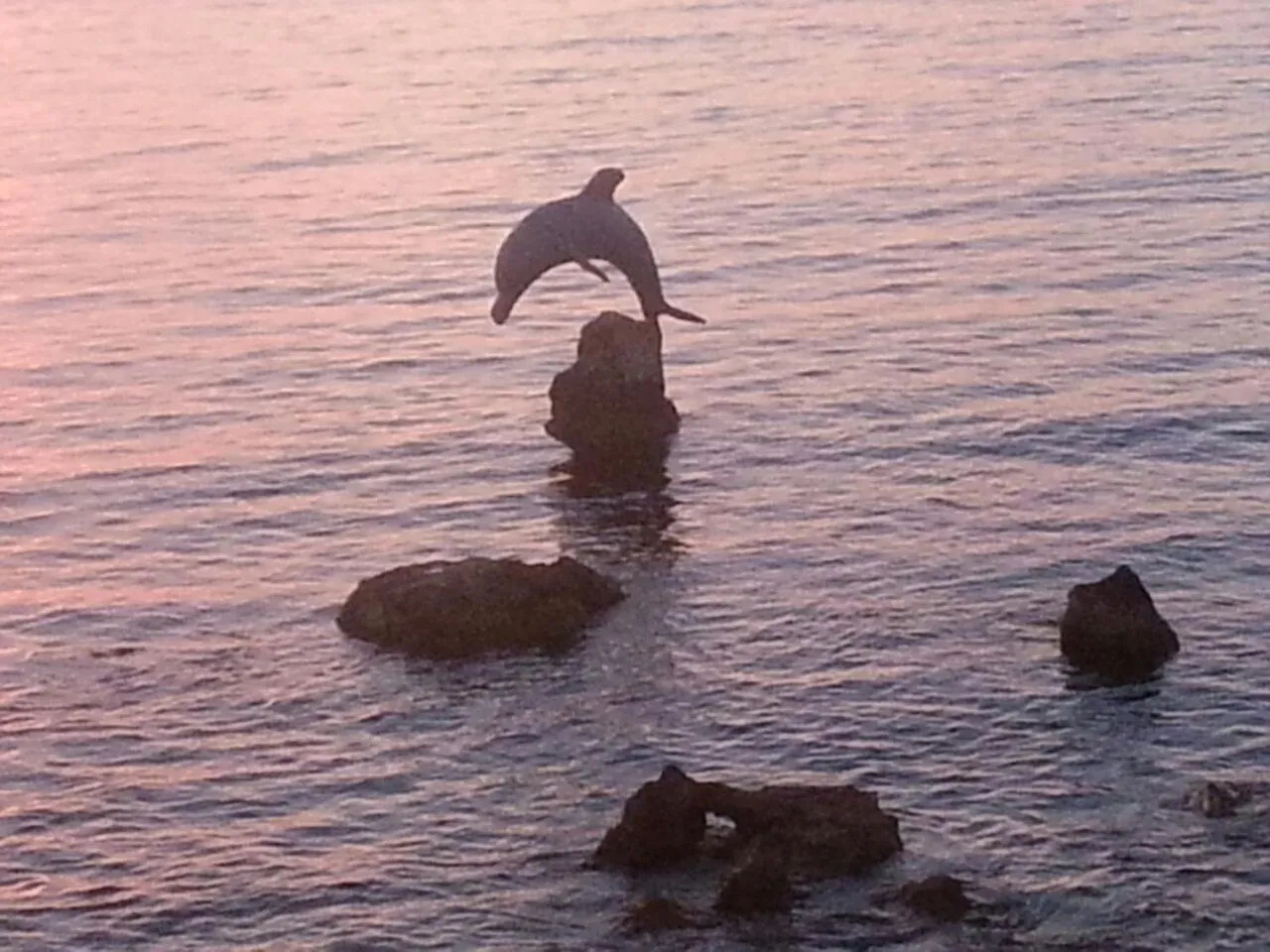 Natural landscape in B&B Antica Botte Sassari