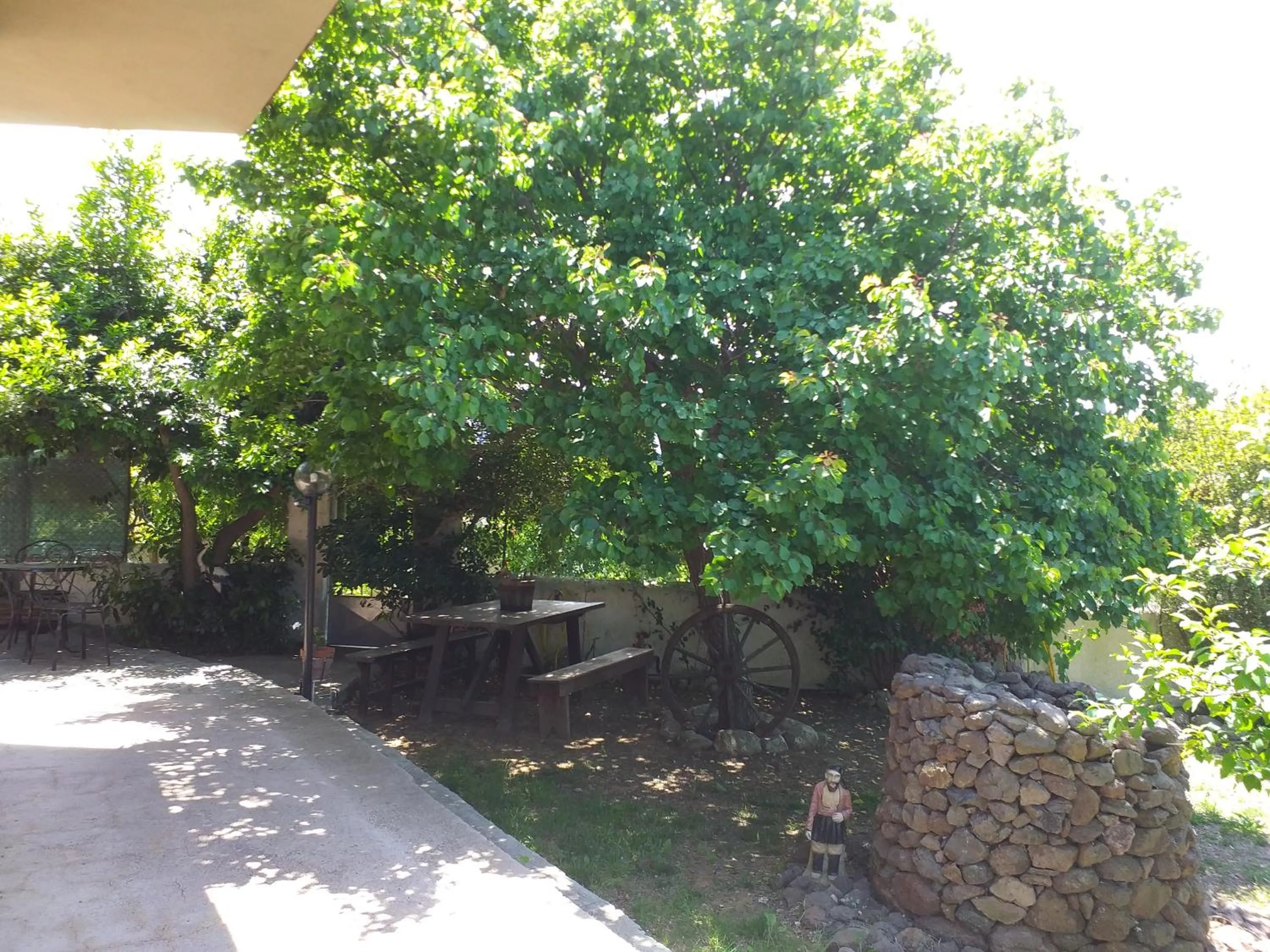 Garden in B&B Antica Botte Sassari