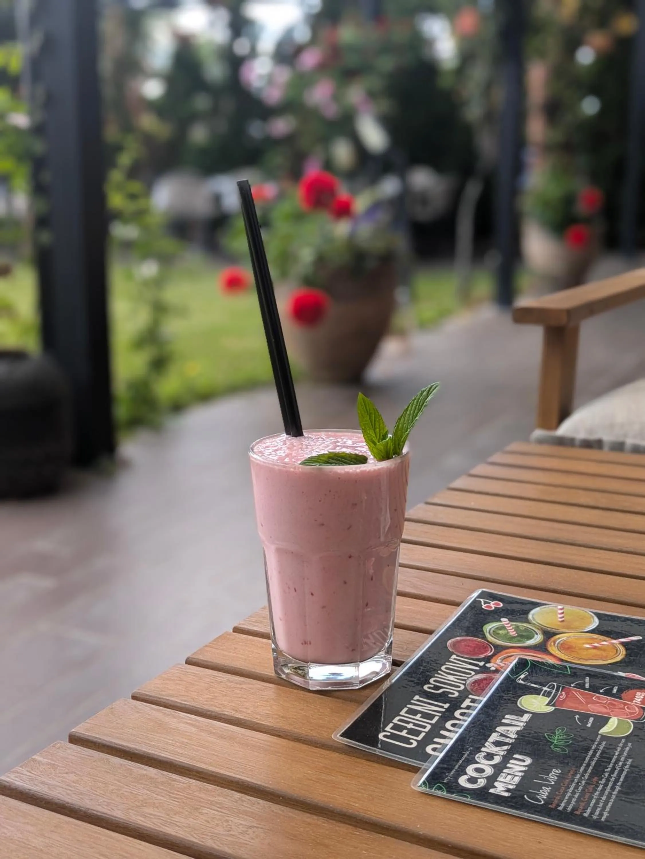 Non alcoholic drinks in Guest House Panorama Aqualux with Free Parking