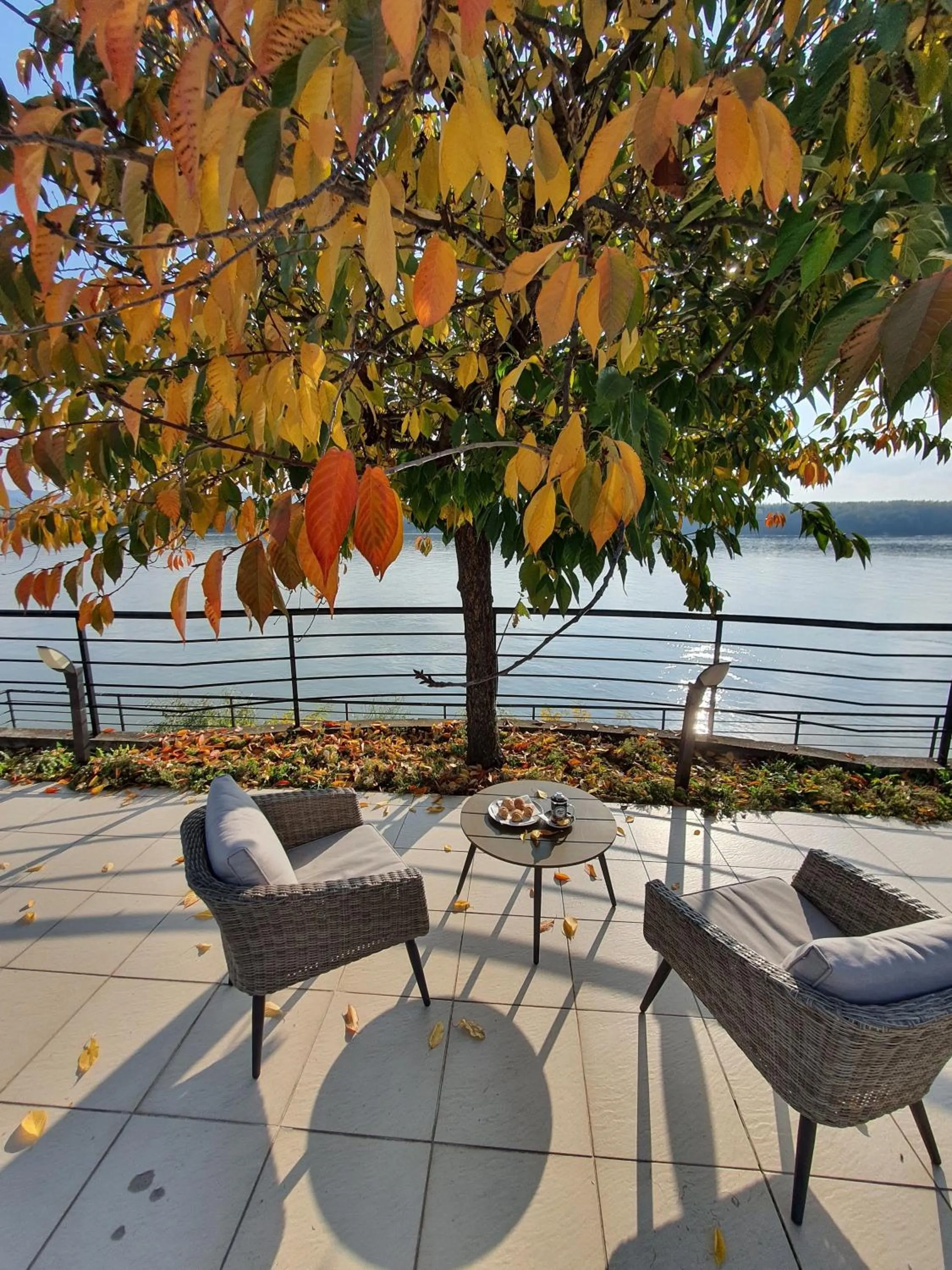 Garden in Guest House Panorama Aqualux with Free Parking