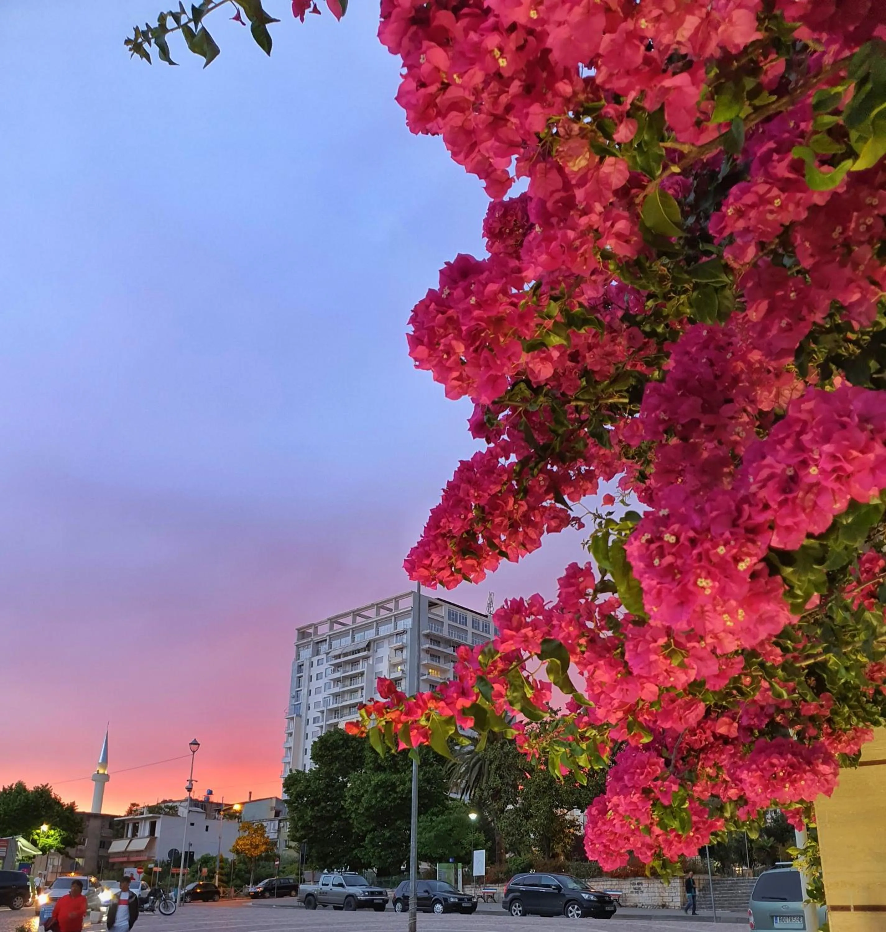 Property building in Hotel JoAn