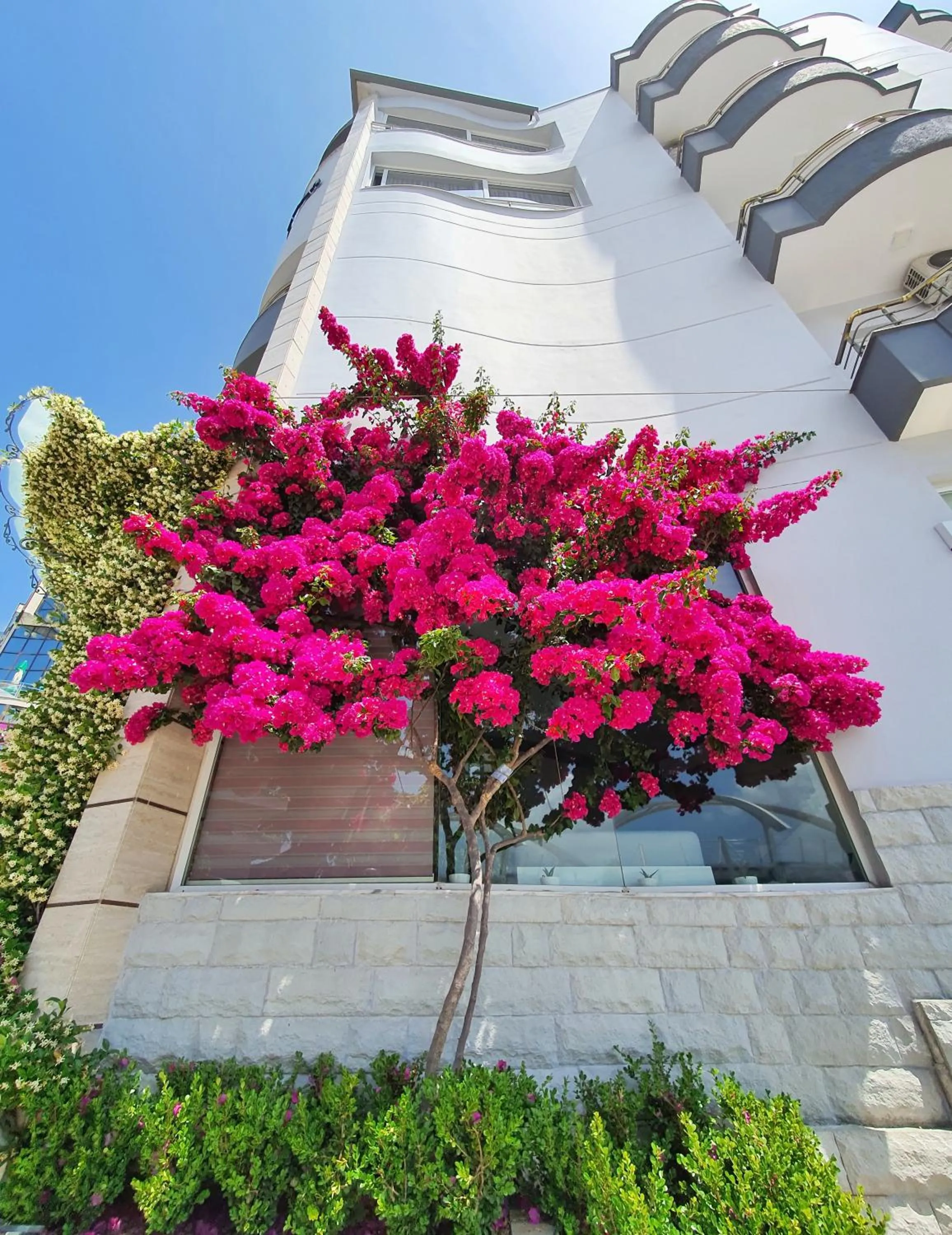 Facade/entrance in Hotel JoAn