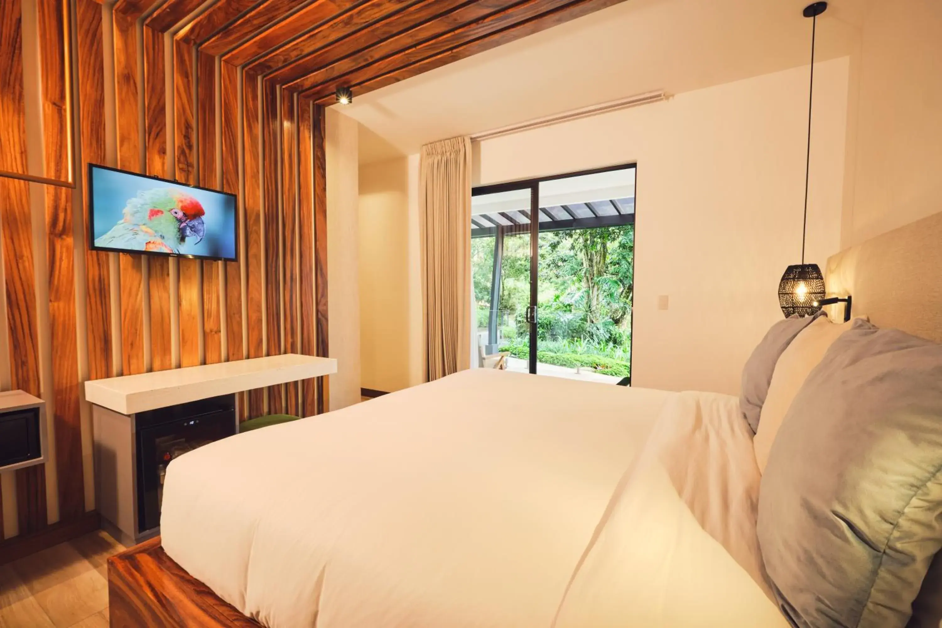 1 King Room with Terrace / Sotobosque in Ocotea Boutique Hotel 1 King Room with Terrace / Sotobosque in Ocotea Boutique Hotel