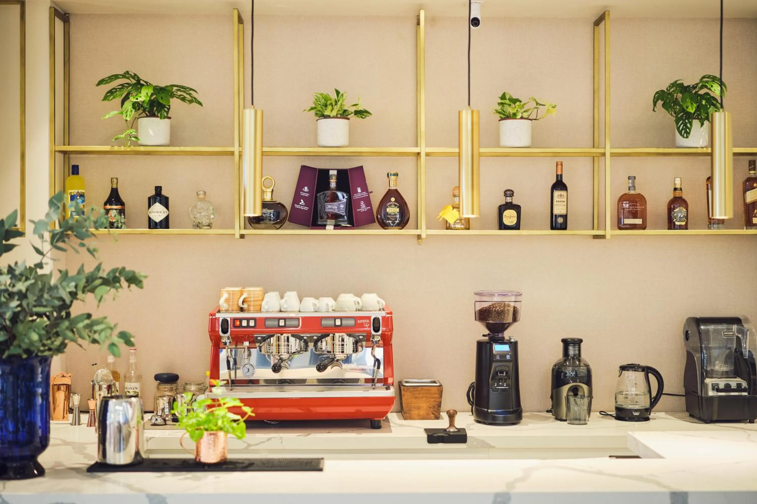 Food and drinks in Ocotea Boutique Hotel