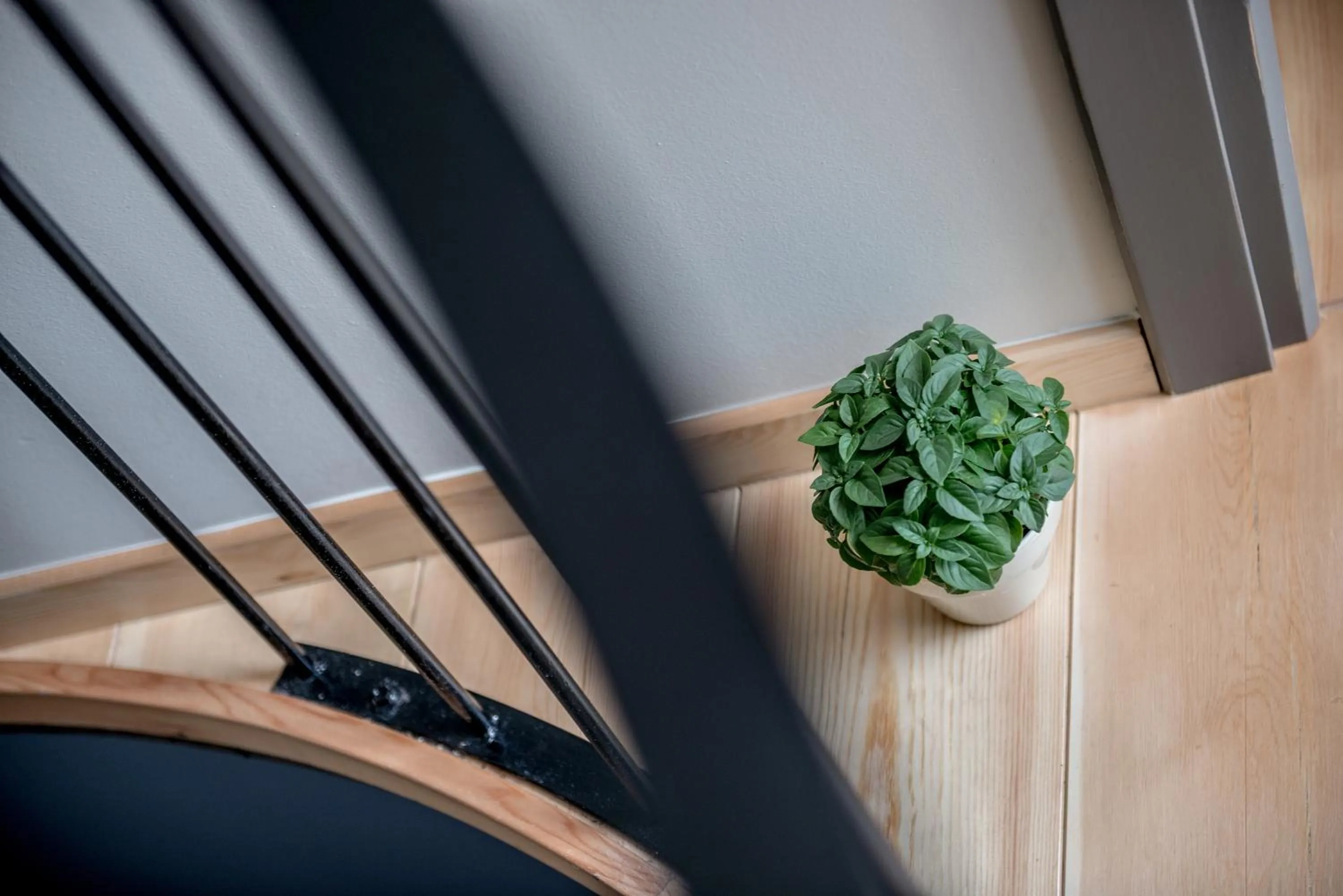 Decorative detail in Hotel Off