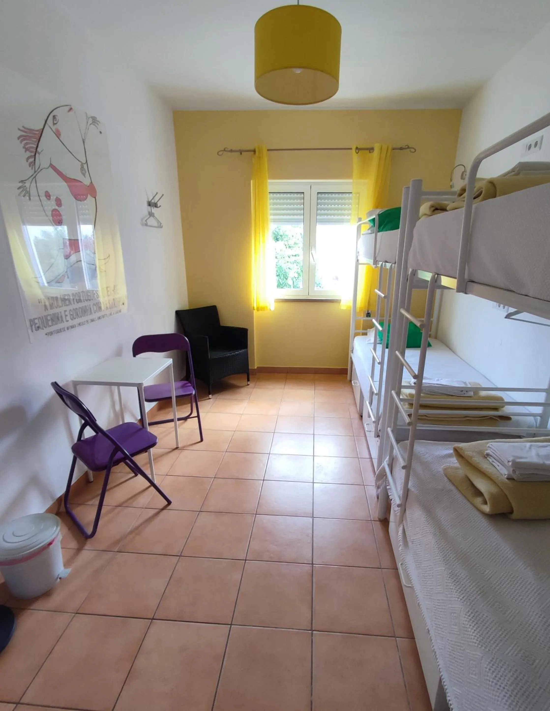 Bunk Bed in Female Dormitory Room   in Racing Mackerel Hostel