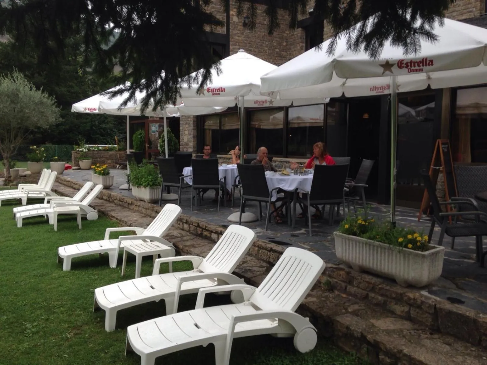 Garden in Hotel Florido