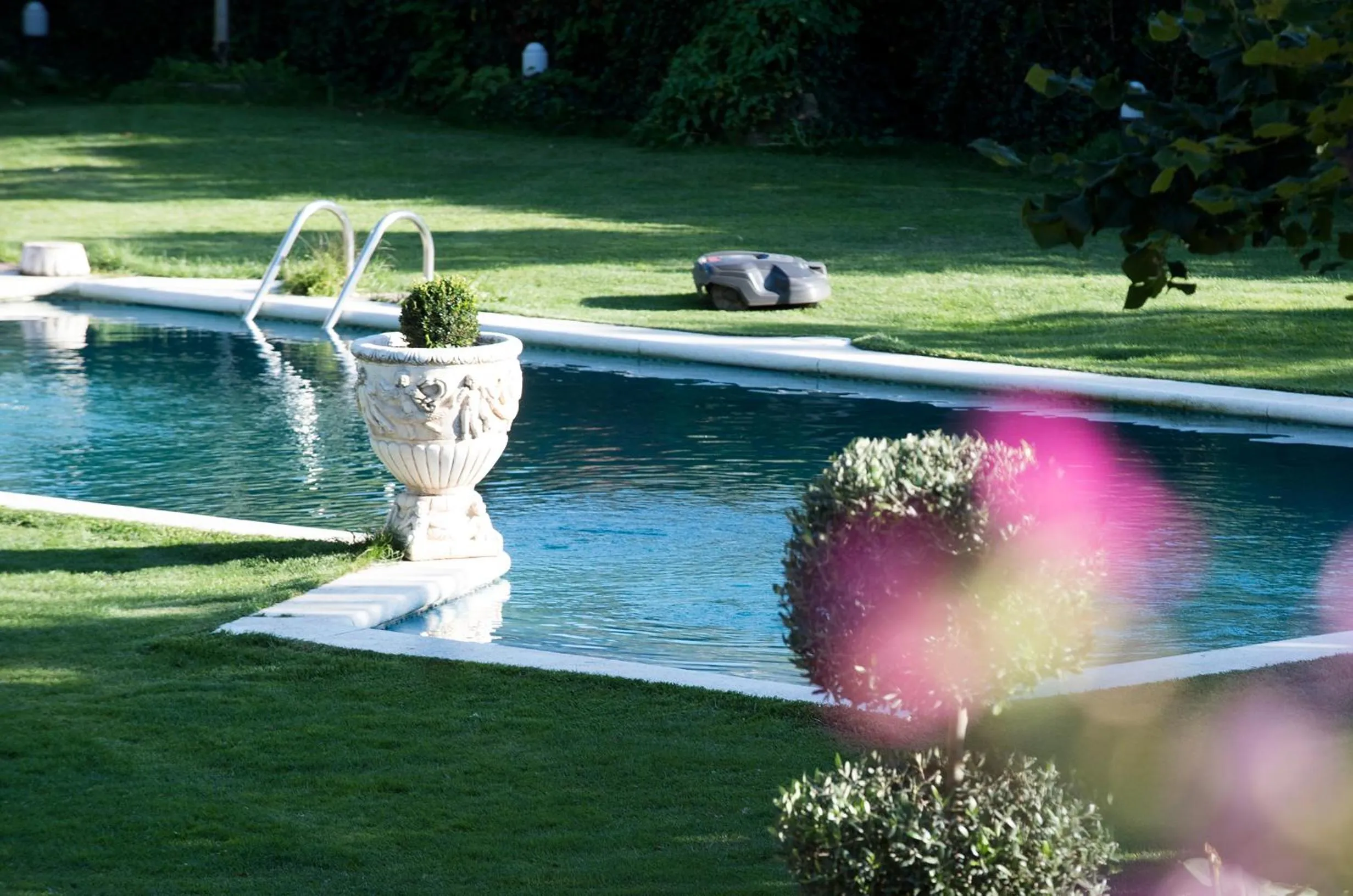 Garden in Hotel Florido