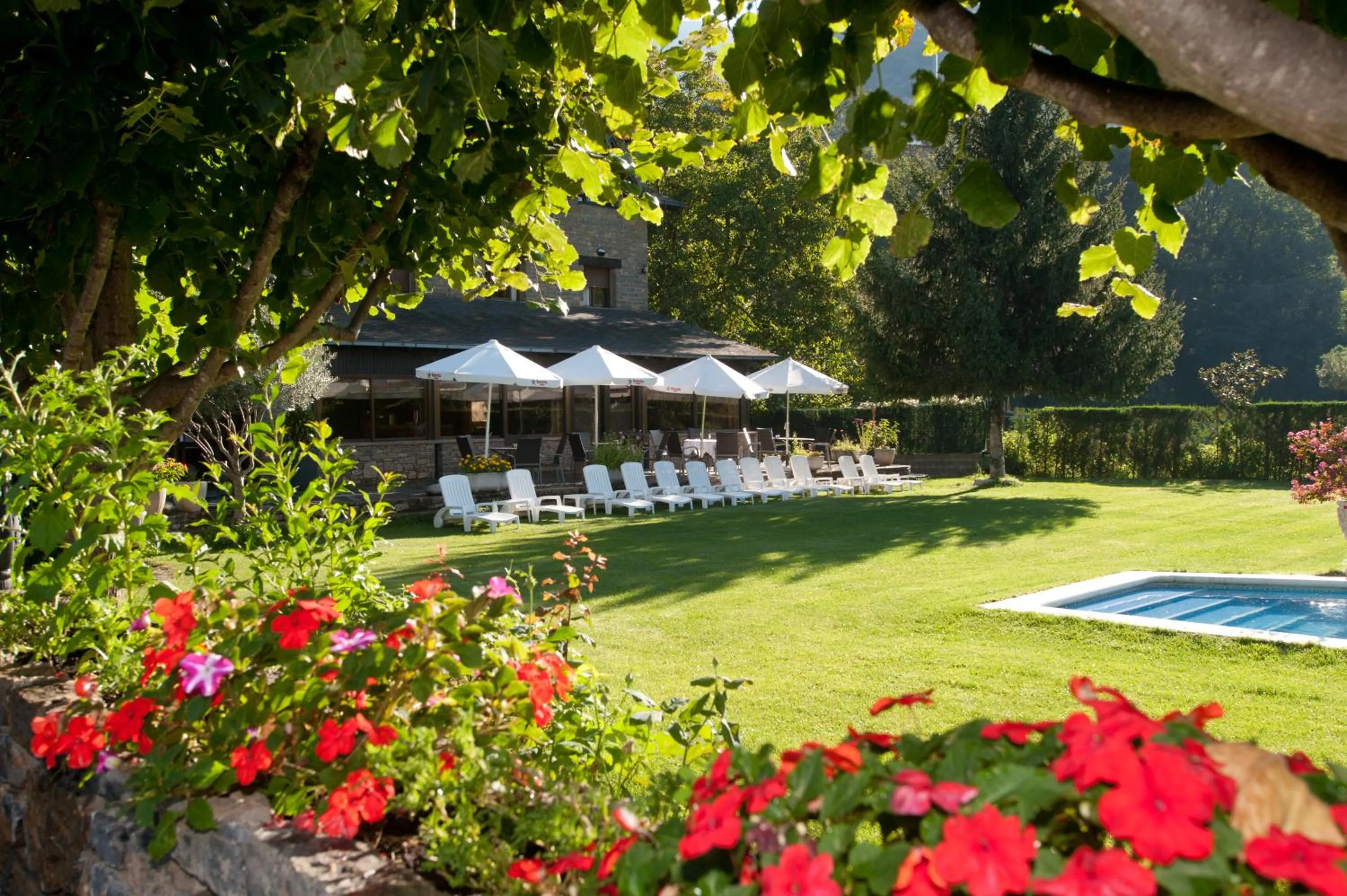 Garden in Hotel Florido